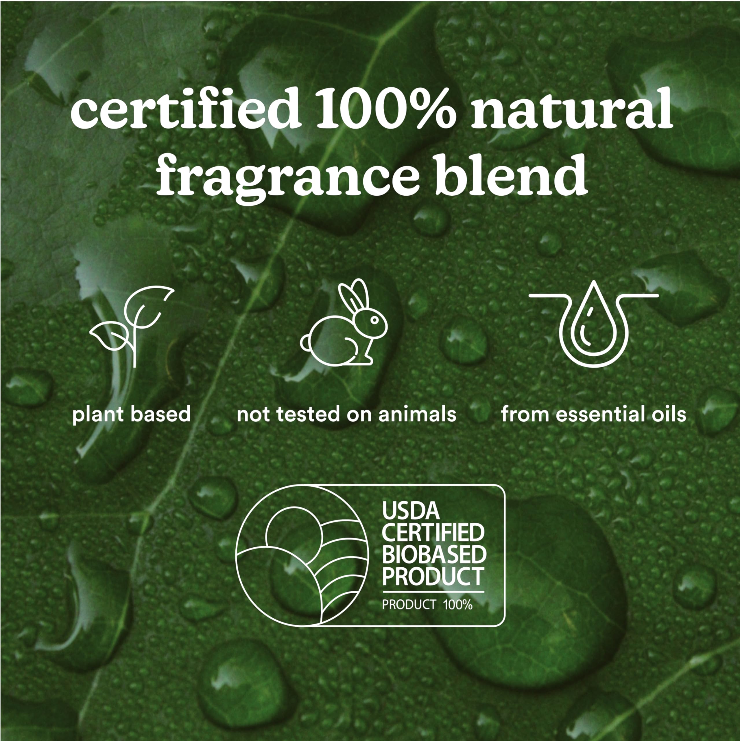 Homedics SereneScent Moroccan Magic Fragrance Oil Bottle, 120 ml, Clean & Natural, Fruity & Woody Homedics uk supplements
