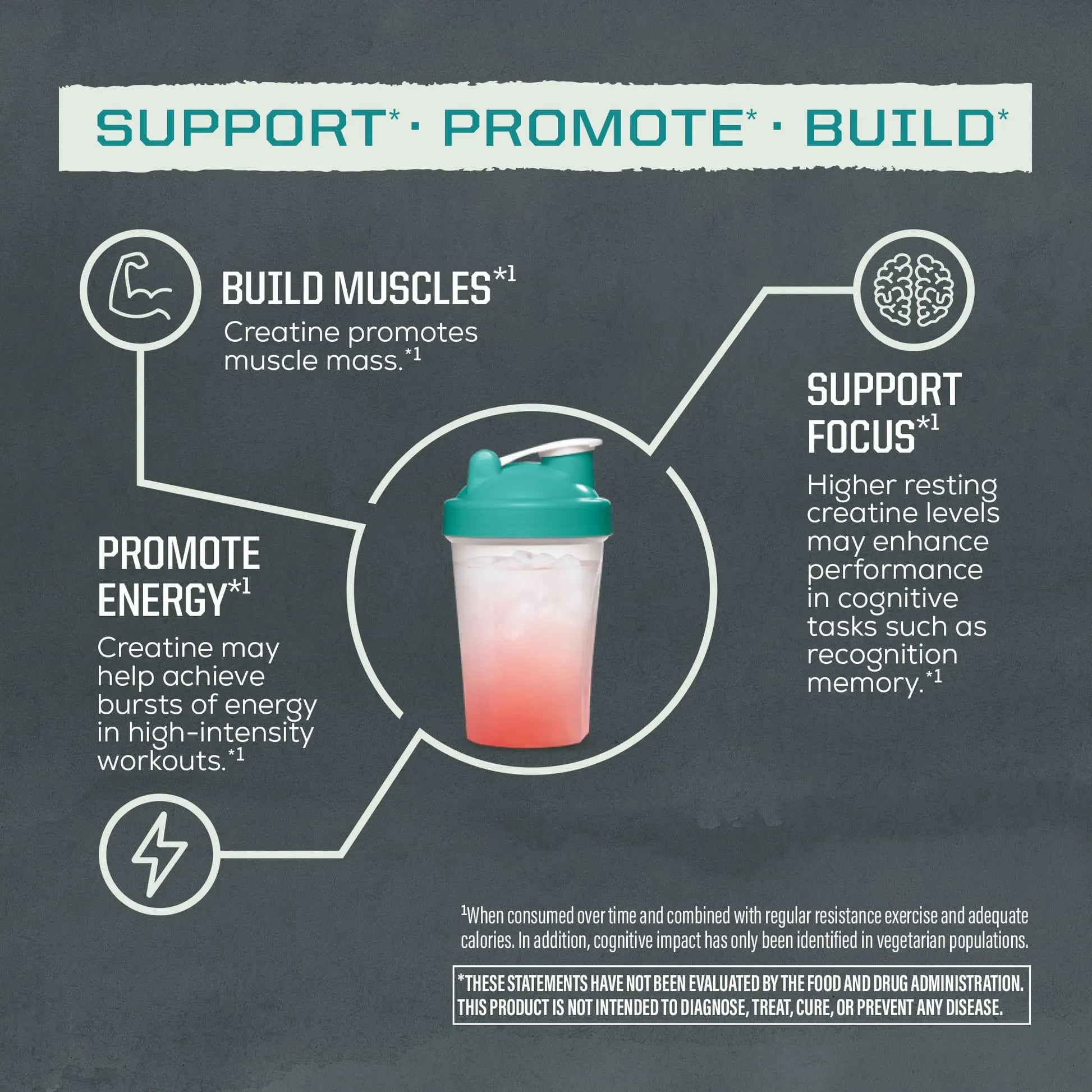 Creatine Monohydrate Powder Micronized PreWorkout Recovery Supplement | Support Muscle Building Strength Training Cognition | Vegan & Keto Friendly Easily Mixes Sunwarrior uk supplements