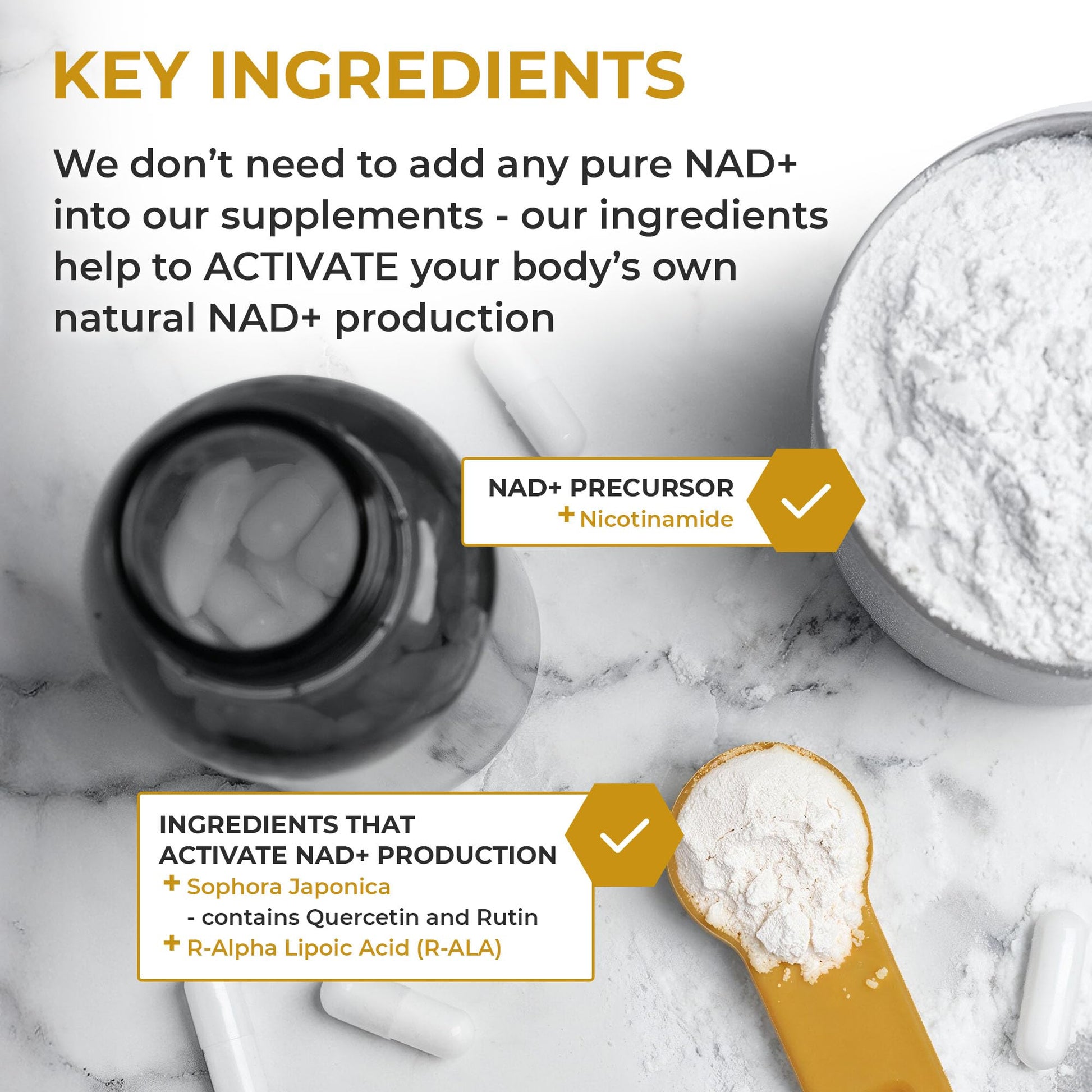 Nuchido Time+ NAD Supplement for Men & Women - Advanced Formula for Healthy Aging, Energy, Focus, Cellular Health & Longevity - Nicotinamide, Alpha Lipoic Acid, Quercetin - 90 Capsules Nuchido Time+ uk supplements