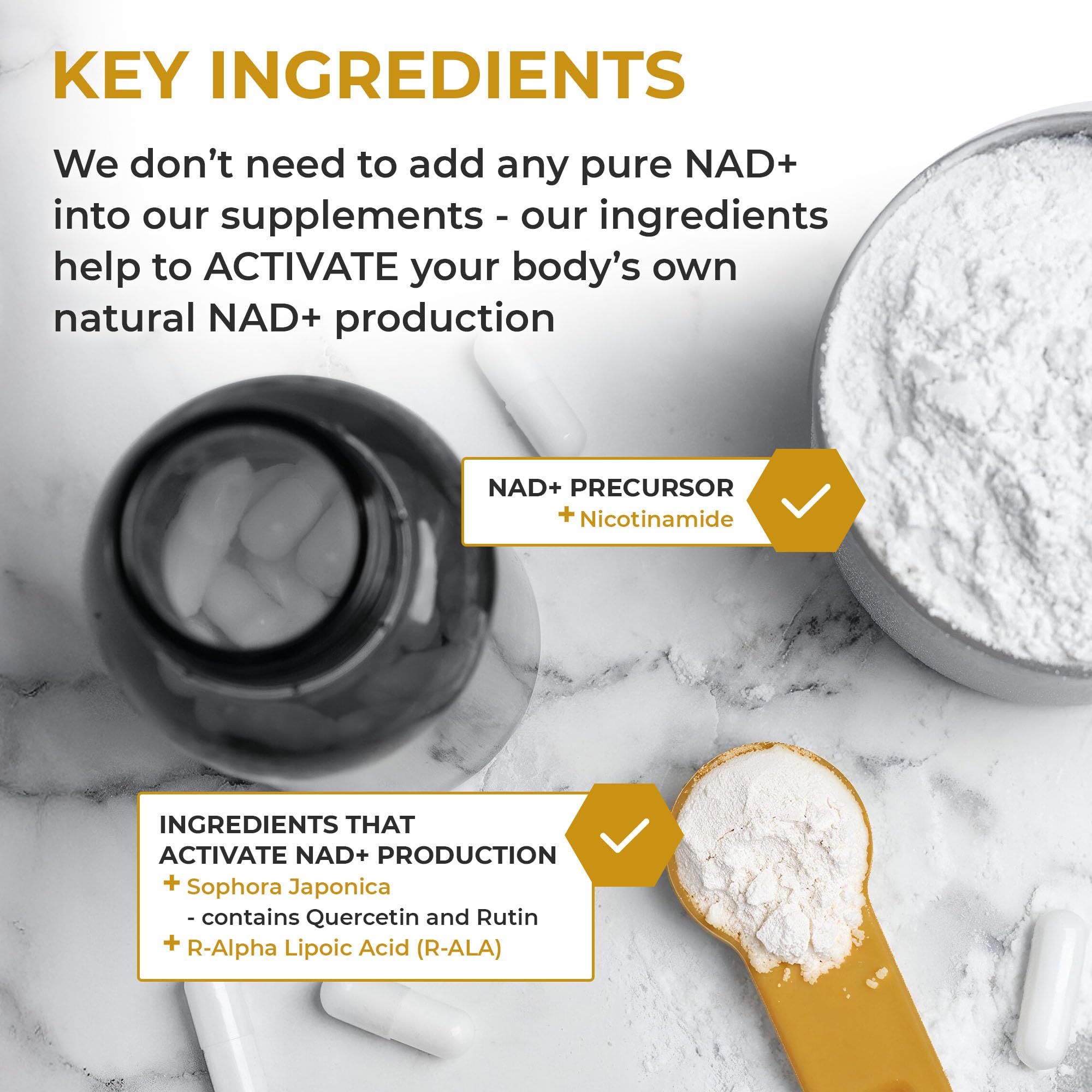 Nuchido Time+ NAD Supplement for Men & Women - Advanced Formula for Healthy Aging, Energy, Focus, Cellular Health & Longevity - Nicotinamide, Alpha Lipoic Acid, Quercetin - 90 Capsules Nuchido Time+ uk supplements