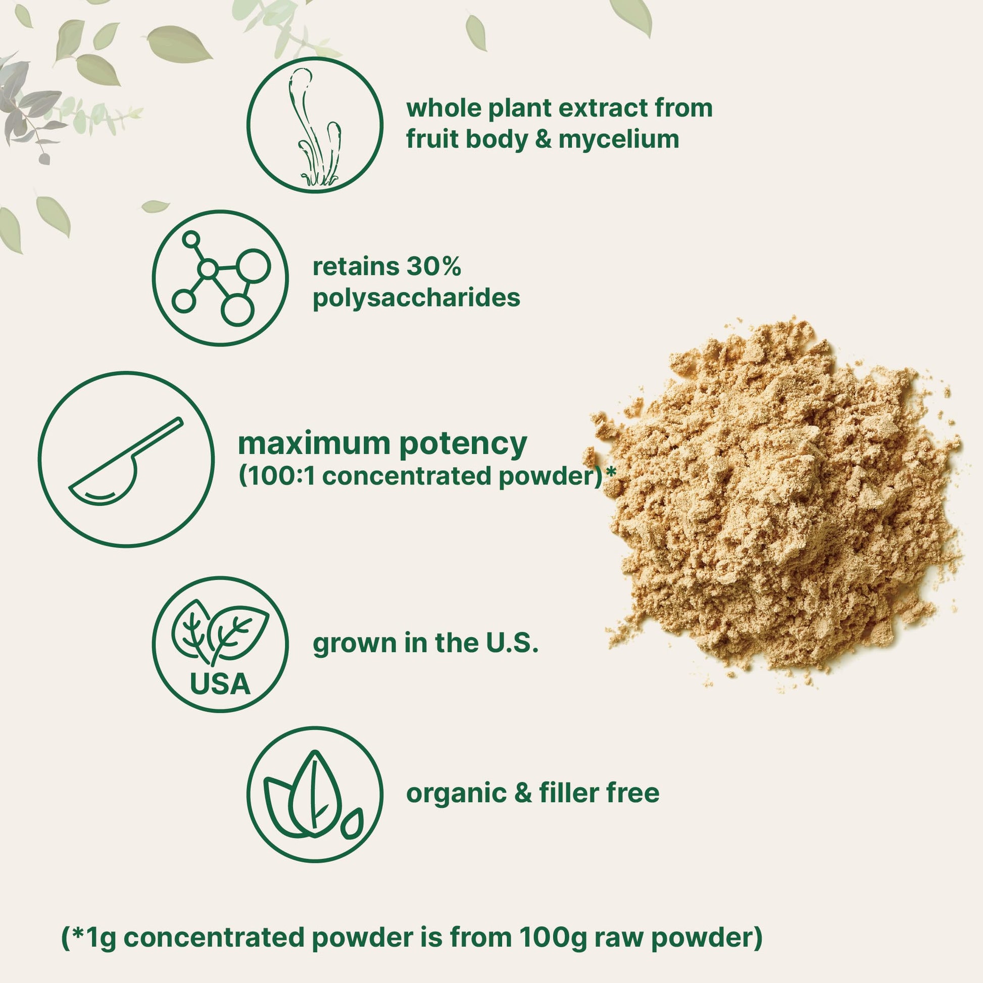 Organic Cordyceps Mushroom Extract Powder, 8 Ounces | Sustainably US Grown Micro Ingredients uk supplements