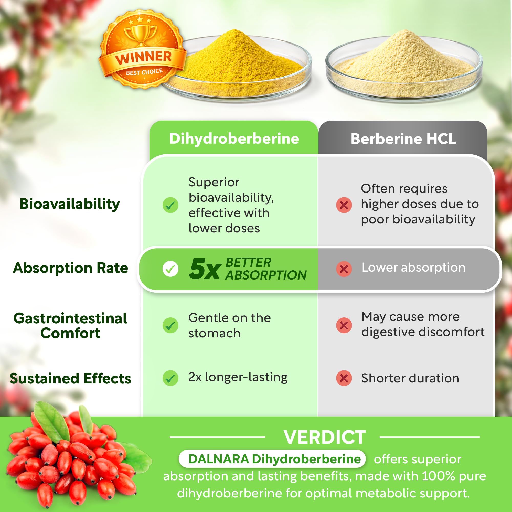 Dalnara Dihydroberberine Capsules 250mg, 60 Count - Supports Metabolic Wellness & Balanced Energy, Non-GMO,Dihydroberberine Supplement Dalnara uk supplements