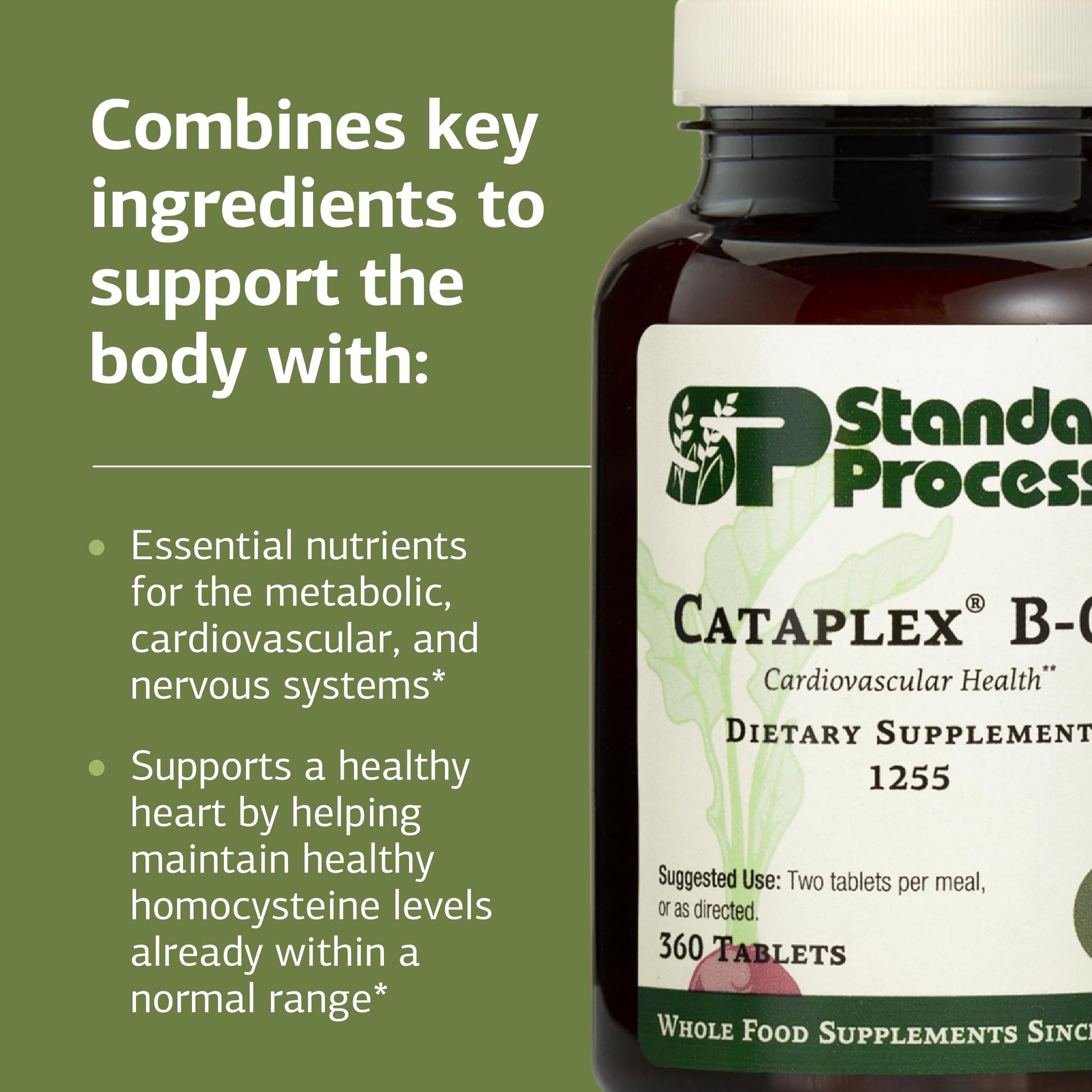 Standard Process Cataplex B-GF - Supports Nervous System Health - B Vitamins for Energy & Heart Support - Aids Energy During Physical Activity - Gluten-Free, Non-Soy & Non-Dairy - 360 Tablets Standard Process Inc. uk supplements