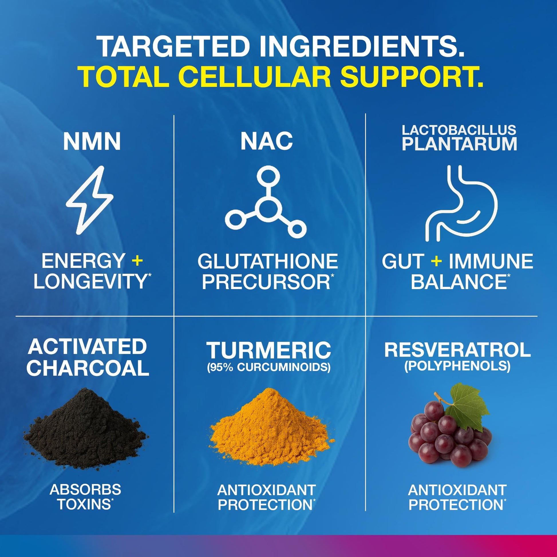 Vitology MP-PRO Microplastics Defense | 15 Billion CFU Probiotic + Antioxidant Blend | NMN, NAC, Glutathione, Resveratrol & Charcoal | Supports Cellular Detox, Longevity & Gut Health – 60 Capsules Vitology uk supplements