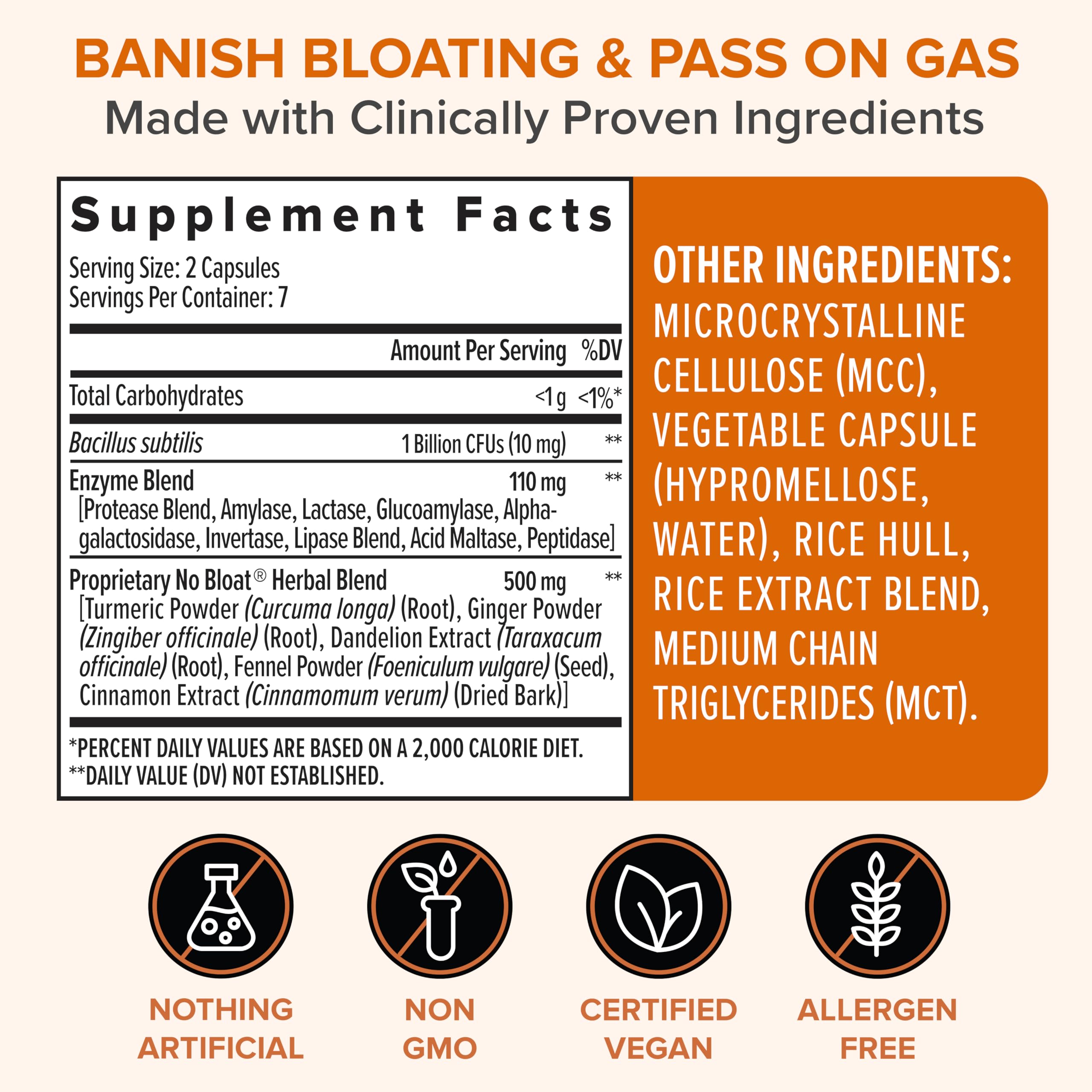 Zenwise Health No Bloat Probiotics for Women and Men Digestive Health with Ginger, Dandelion, and Lactase, Digestive Enzymes for Gas and Bloating Relief - Vegan Water Retention Pills - 14 CT Zenwise Health uk supplements