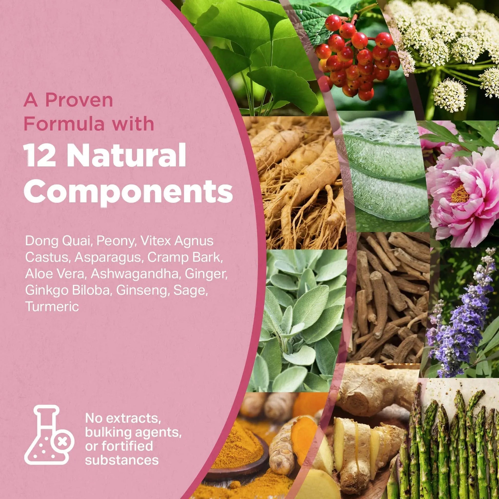 Strength & Spices Hormone Balance 100% Natural Estrogen Supplement – 12 Ingredients w Dong Quai - 60 Vegan UK Made 1000mg Capsules – Fertility and Menstrual Comfort STRENGTH & SPICES100% Natural Vegan Food Supplements uk supplements