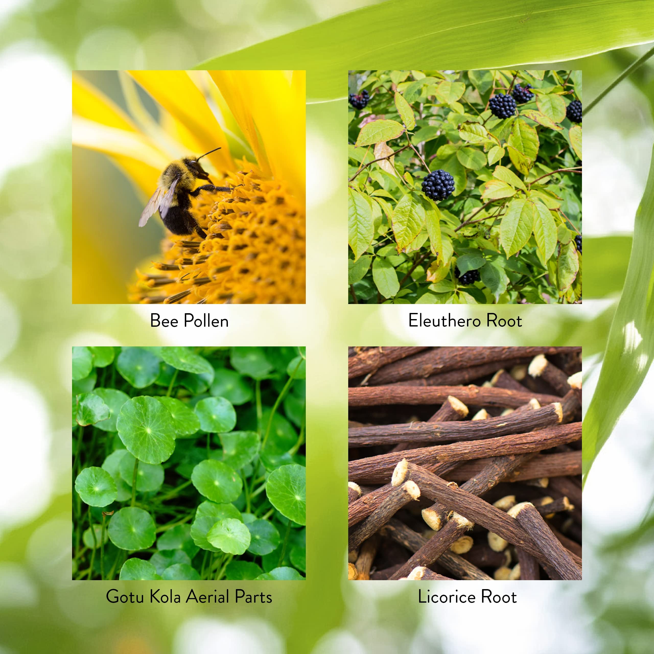 Nature's Sunshine Energ-V - Herbal Blend to Support Energy Levels (100 Capsules) Nature's Sunshine uk supplements