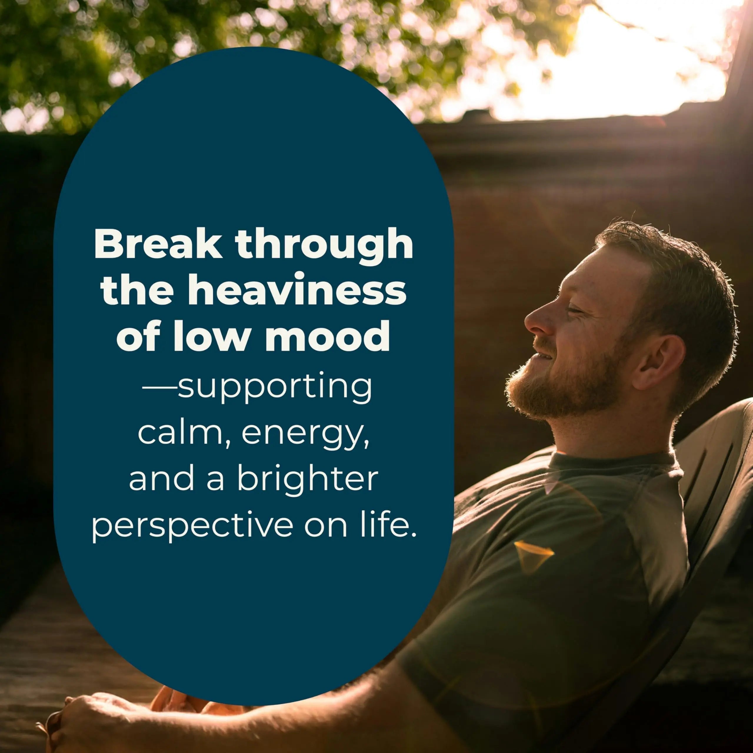 LifeSeasons - Mood Stabili-T - Positive Mood Booster - Enhanced Calmness and Happiness - Relaxed and Balanced Mind LifeSeasons uk supplements