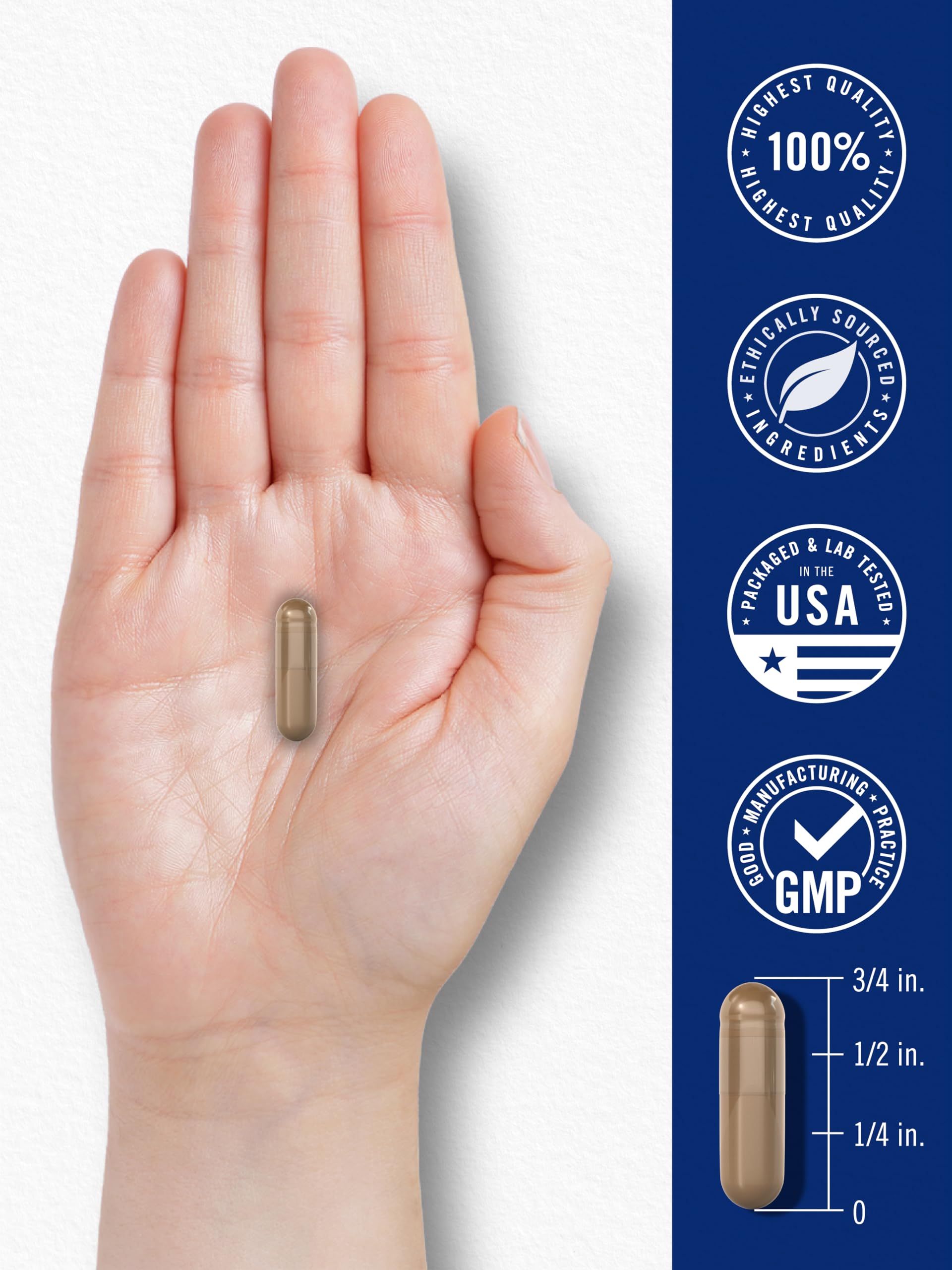 Carlyle Blood Circulation Supplement | 180 Capsules | Supports Healthy Circulation | Non-GMO, Gluten Free Carlyle uk supplements