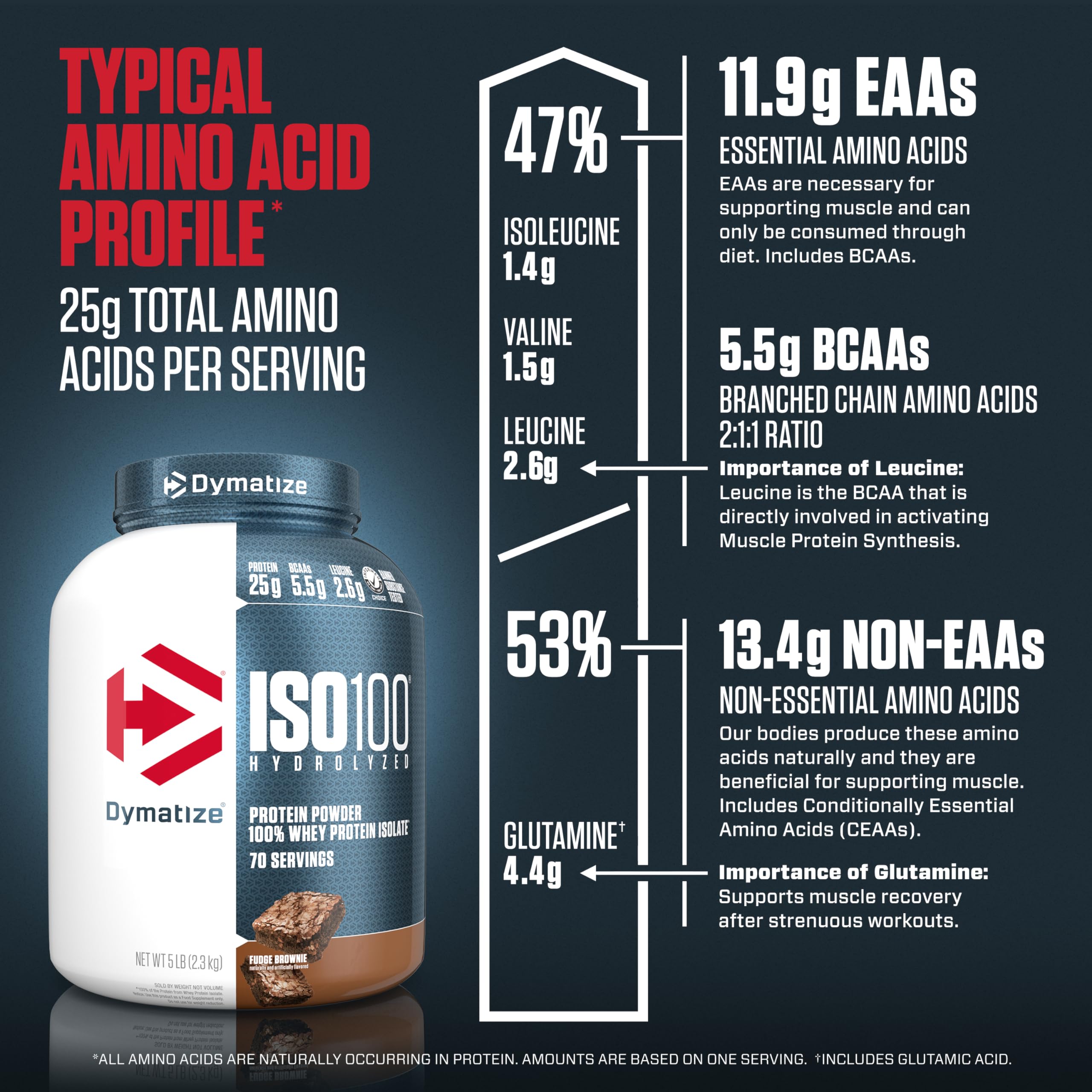 Dymatize ISO100 Hydrolyzed Protein Powder, 100% Whey Isolate Protein, 25g of Protein Dymatize uk supplements