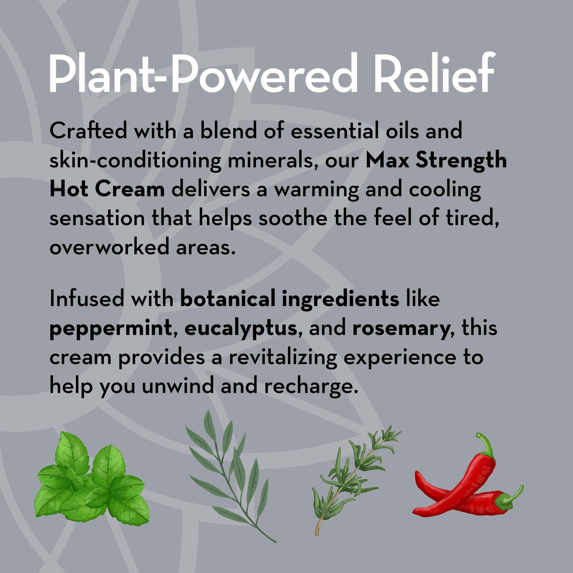Pure Body Naturals Max Strength Hot Cream – Warming & Cooling Cream with Capsaicin and Menthol – Soothing Comfort for Overworked Muscles – 8.8 oz Pure Body Naturals uk supplements