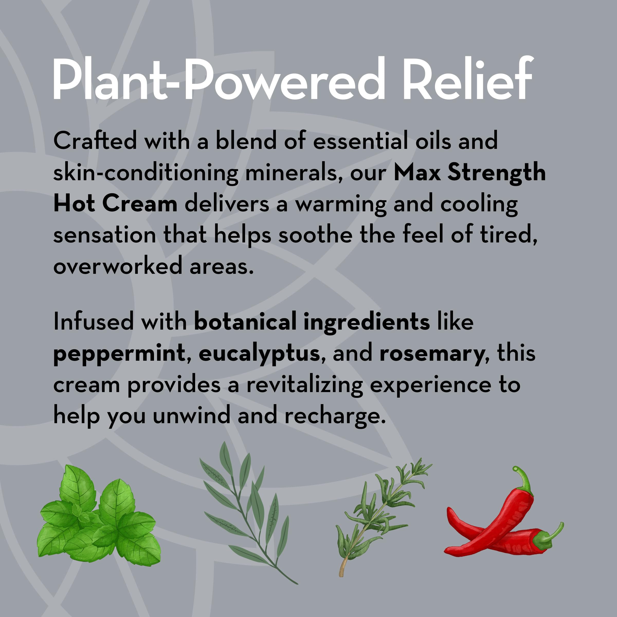 Pure Body Naturals Max Strength Hot Cream – Warming & Cooling Cream with Capsaicin and Menthol – Soothing Comfort for Overworked Muscles – 8.8 oz Pure Body Naturals uk supplements
