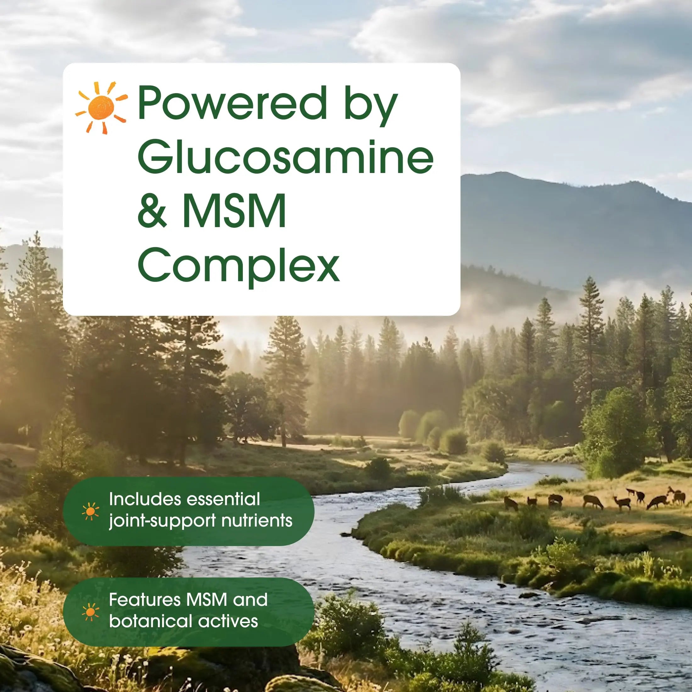 NatureBell Advanced Glucosamine Chondroitin & MSM - 240 Capsules - 10-in-1 Joint Support Complex* - Includes Hyaluronic Acid, Turmeric, Glucosamine, Collagen & More NatureBell uk supplements