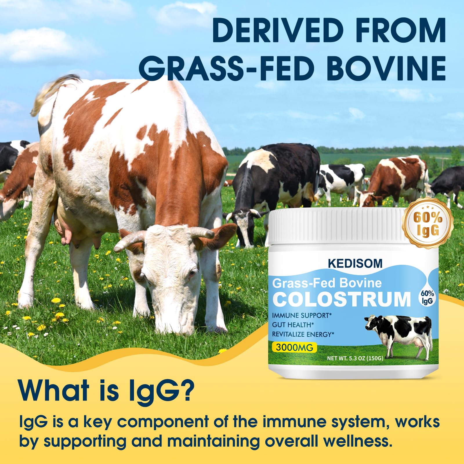 KEDISOM Grass-Fed Bovine Colostrum Supplement Powder - 60% High IgG 3000 mg for Gut Health, Immune Support - Easy to Mix Natural Liposomal Colostrum Superfood, Unflavored, 50 Servings KEDISOM uk supplements