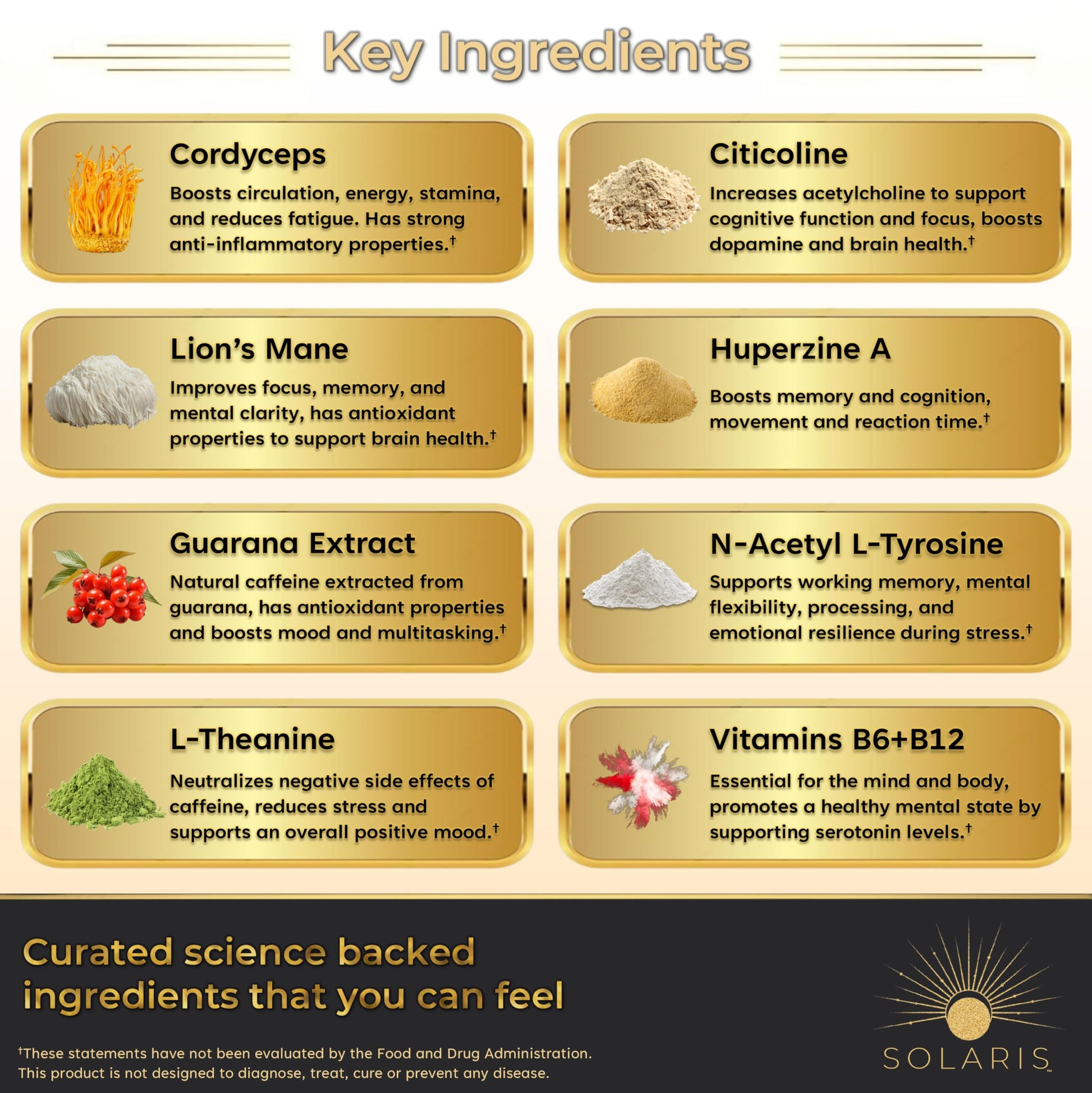 Solaris Mushroom Productivity Wellness Shots | Focus, Circulation, Memory | 4000mg of Cordyceps & Lion's Mane | Citicoline, L-Theanine, Vitamin B6/B12 | Coffee Alternative (6-Pack) Solaris Extracts uk supplements