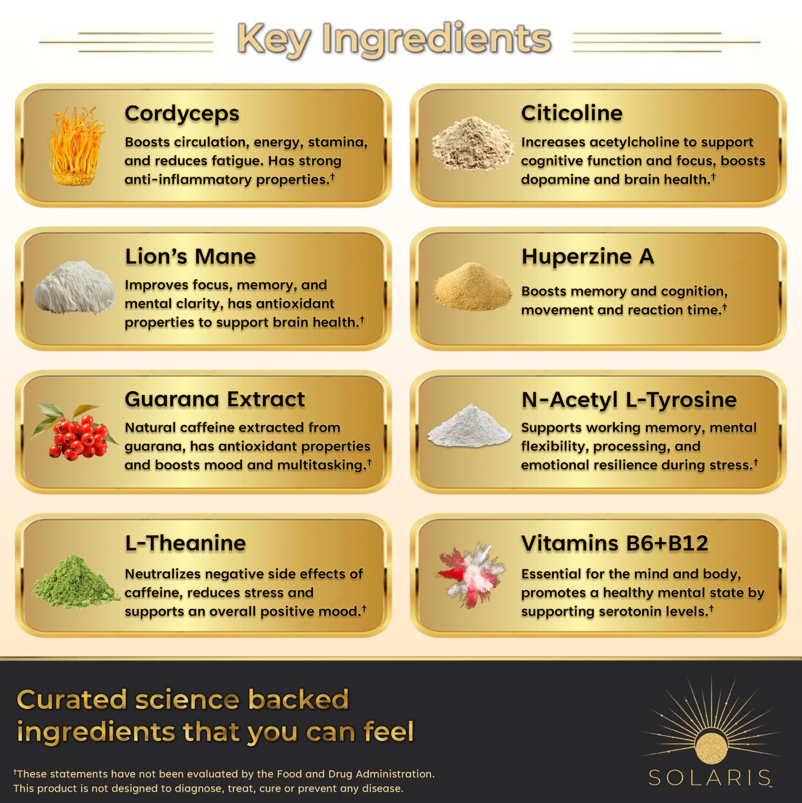 Solaris Mushroom Productivity Wellness Shots | Focus, Circulation, Memory | 4000mg of Cordyceps & Lion's Mane | Citicoline, L-Theanine, Vitamin B6/B12 | Coffee Alternative (6-Pack) Solaris Extracts uk supplements