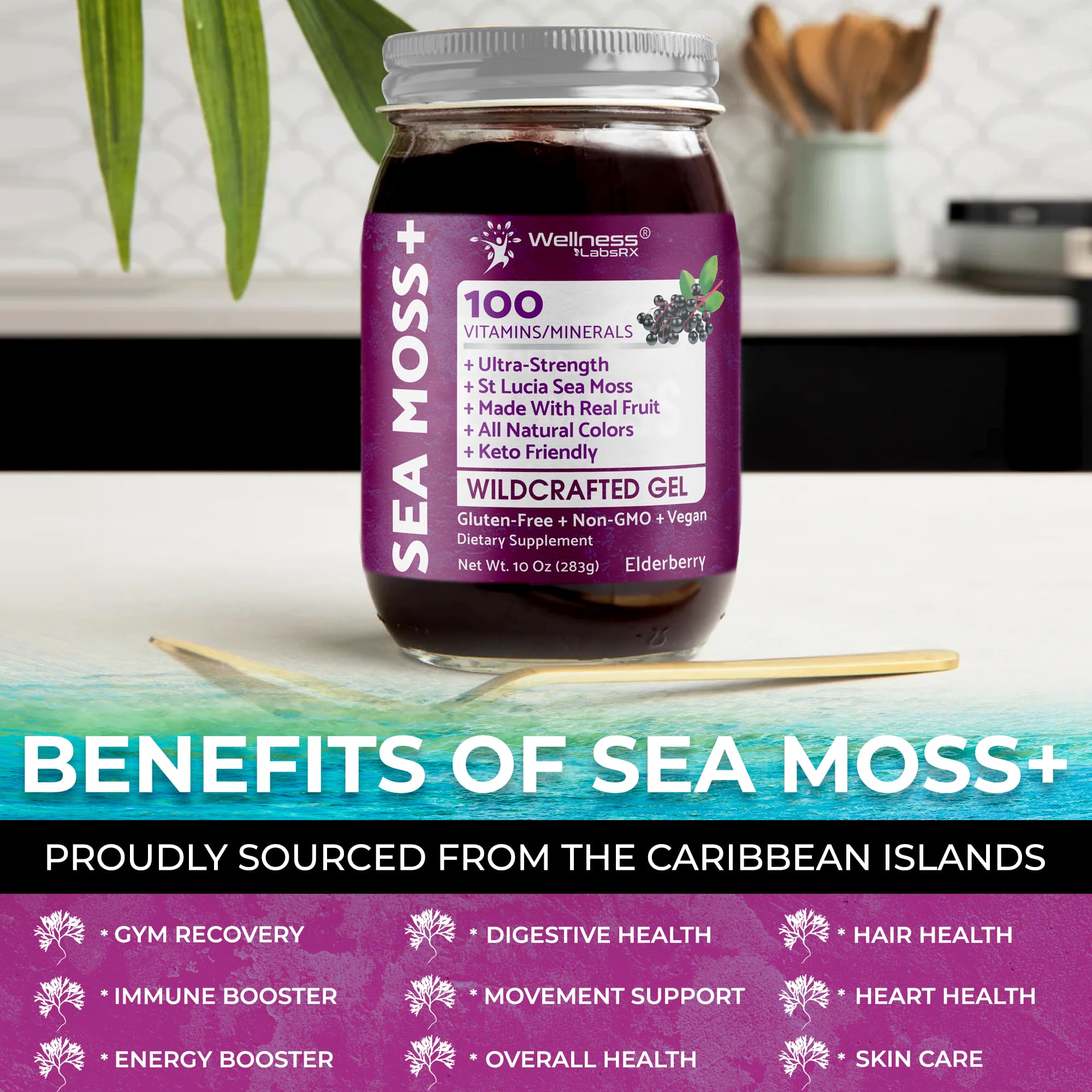 WELLNESS LABSRX Irish Sea Moss Gel Raw - Wildcrafted Superfood Seamoss Gel - Elderberry Flavor, Vitamin and Mineral-Rich from Pristine Caribbean Waters, Immune and Digestive Health Support - 10 oz. WELLNESS LABSRX uk supplements