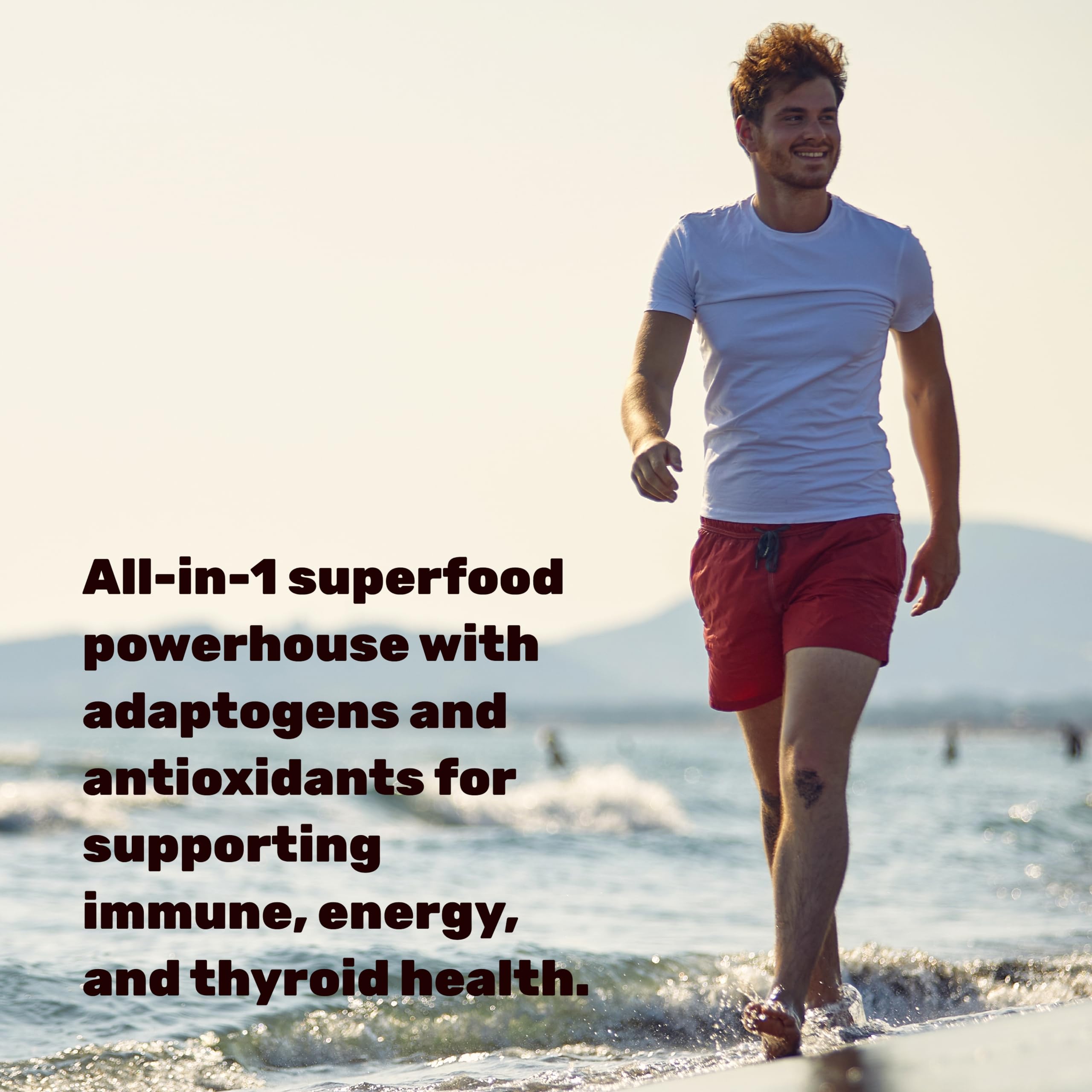 DEAL SUPPLEMENT Irish Sea Moss 240 Veggie Capsules – 14 Superfood Complex with Black Seed Oil, Ashwagandha, & Ginger DEAL SUPPLEMENT uk supplements