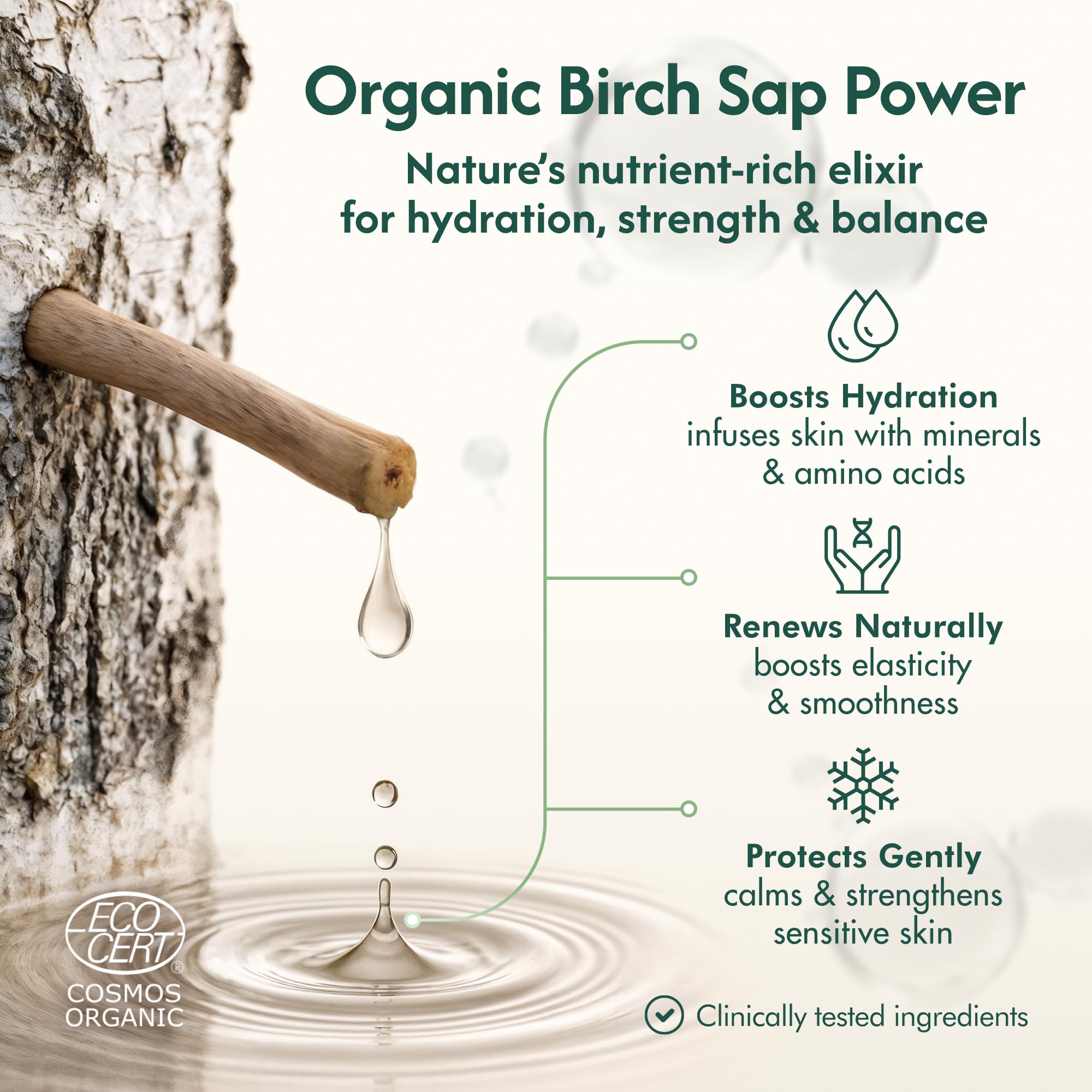 Nordic Organic Birch Sap Face Mist – COSMOS Certified Organic Formula with Hyaluronic Acid & Chaga Mushroom, Fragrance Free, Made in Finland 3.38 oz (100 ml), 1 Bottle Nordic Organic uk supplements