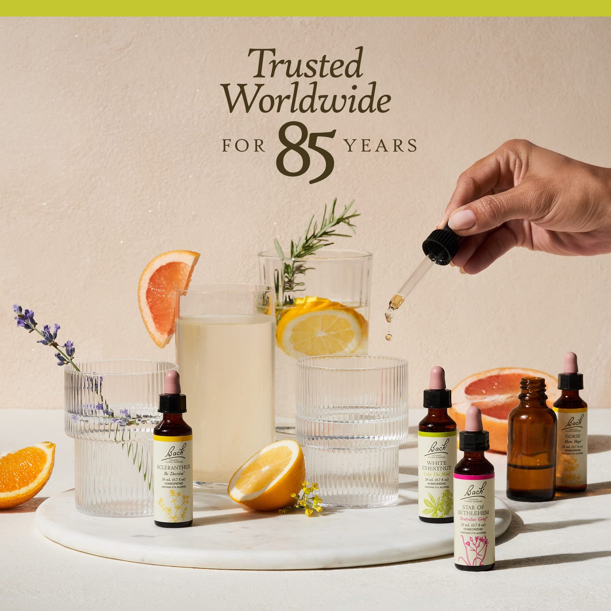 Bach Original Flower Remedies, Wild Rose for Enthusiasm (Non-Alcohol Formula), Natural Homeopathic Bach uk supplements