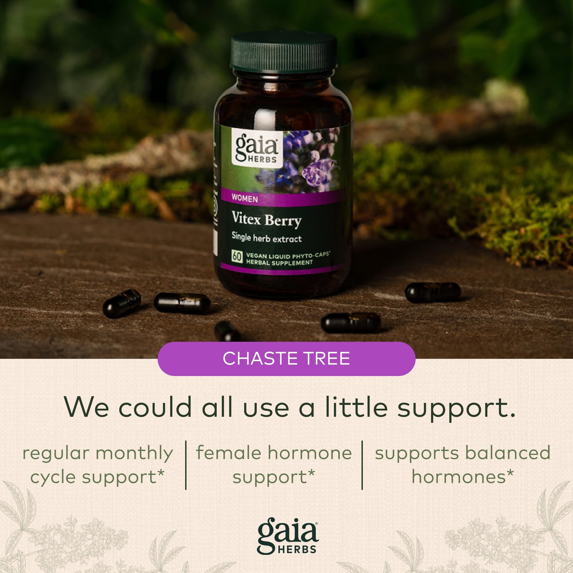 Gaia Herbs Vitex Berry (Chaste Tree) - Supports Hormone Balance & Fertility Gaia Herbs uk supplements