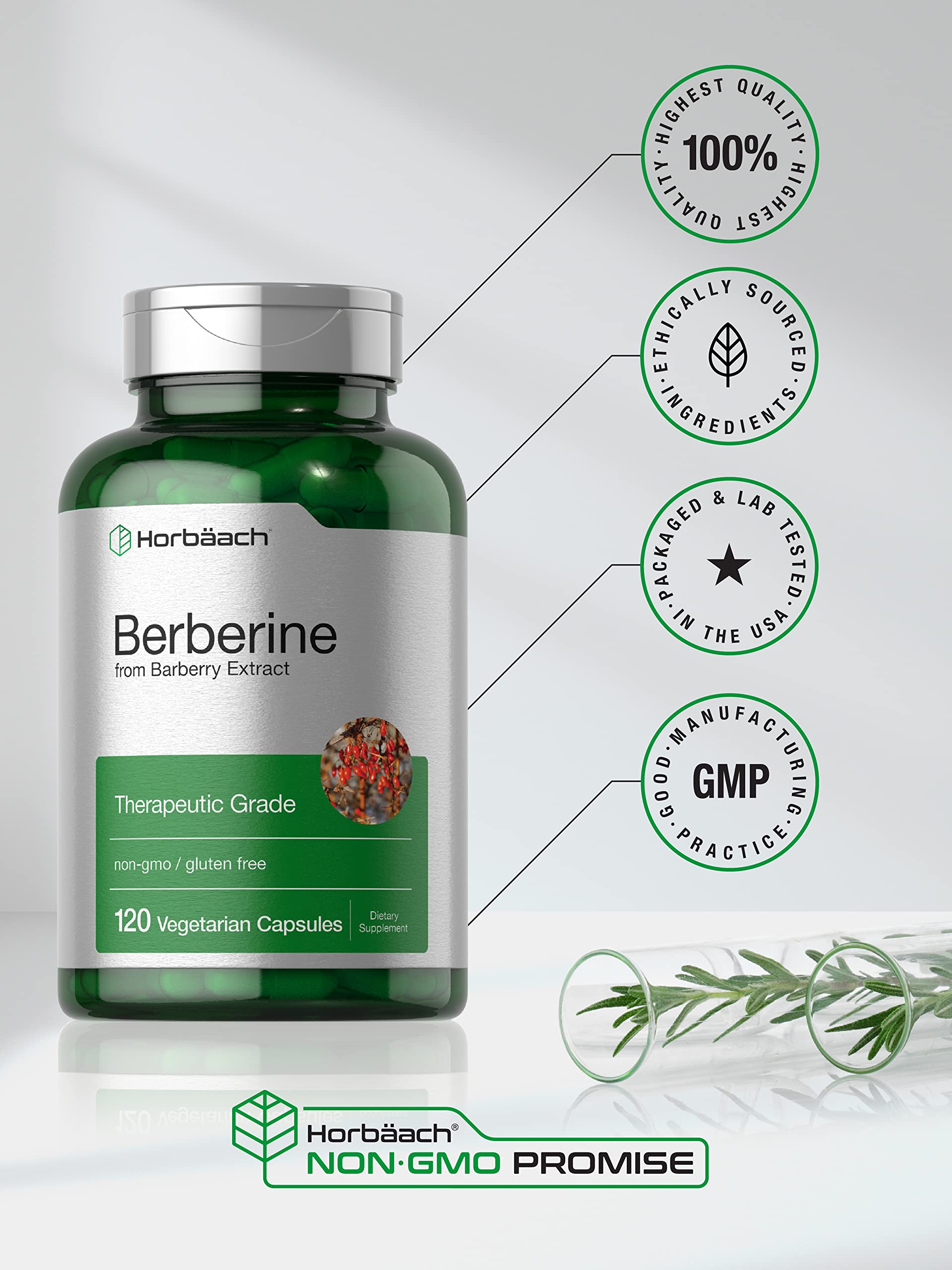 Berberine Supplement | 120 Capsules | Berberine HCl from Barberry Extract | Non-GMO Horbäach uk supplements