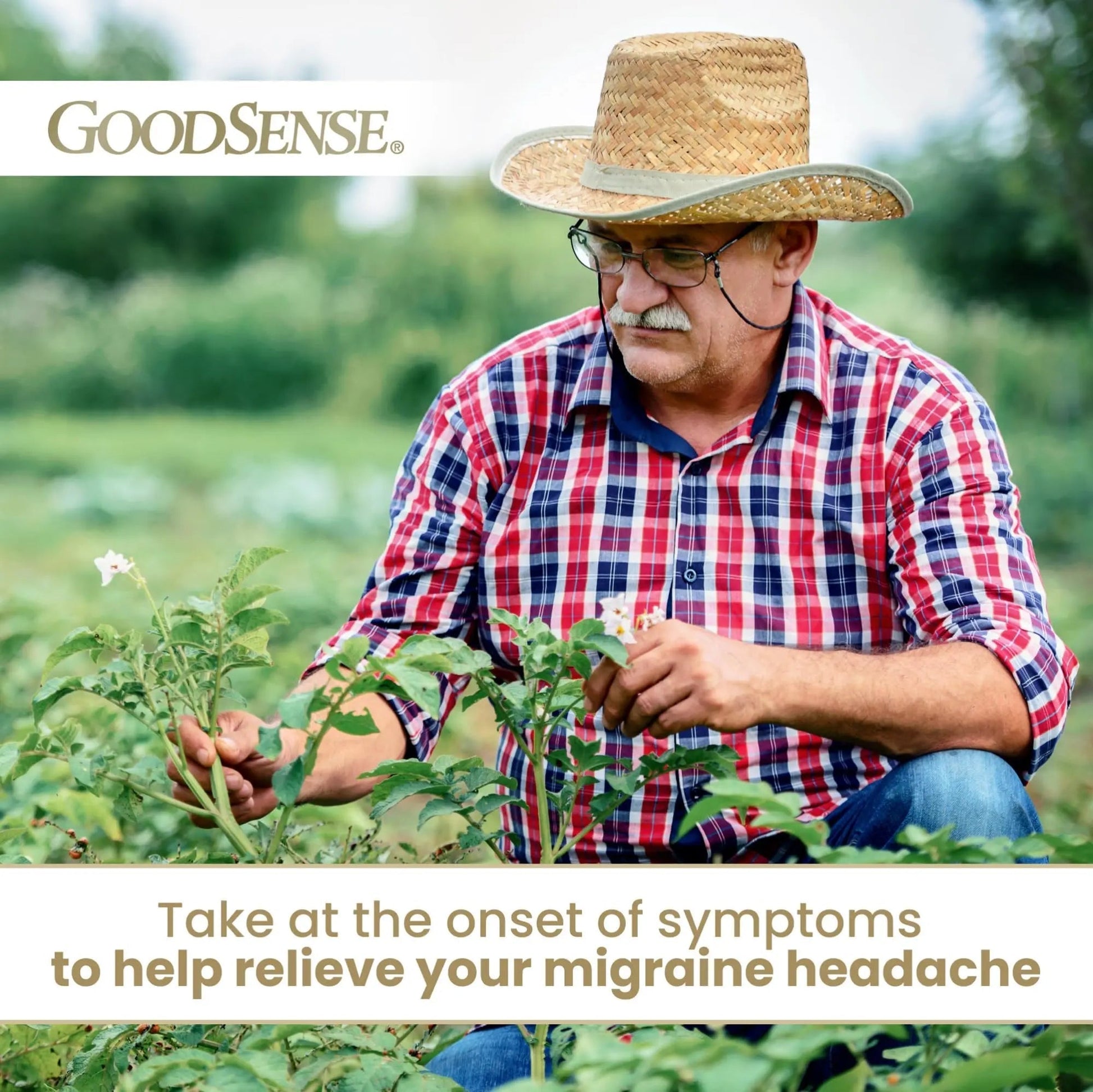 GoodSense Migraine Relief Geltabs, Acetaminophen, Aspirin (NSAID) and Caffeine, 80 Count GoodSense uk supplements
