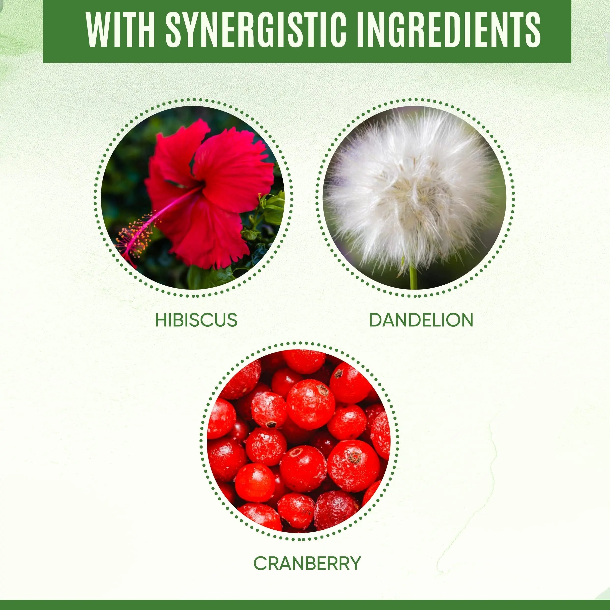 YEVANI 100% Pure D-Mannose Capsules 1000 mg with Cranberry, Hibiscus, and Dandelion Extract, Fast Acting Professional UTI Prevention Formula for Urinary Tract Health and Bladder Support YEVANI uk supplements