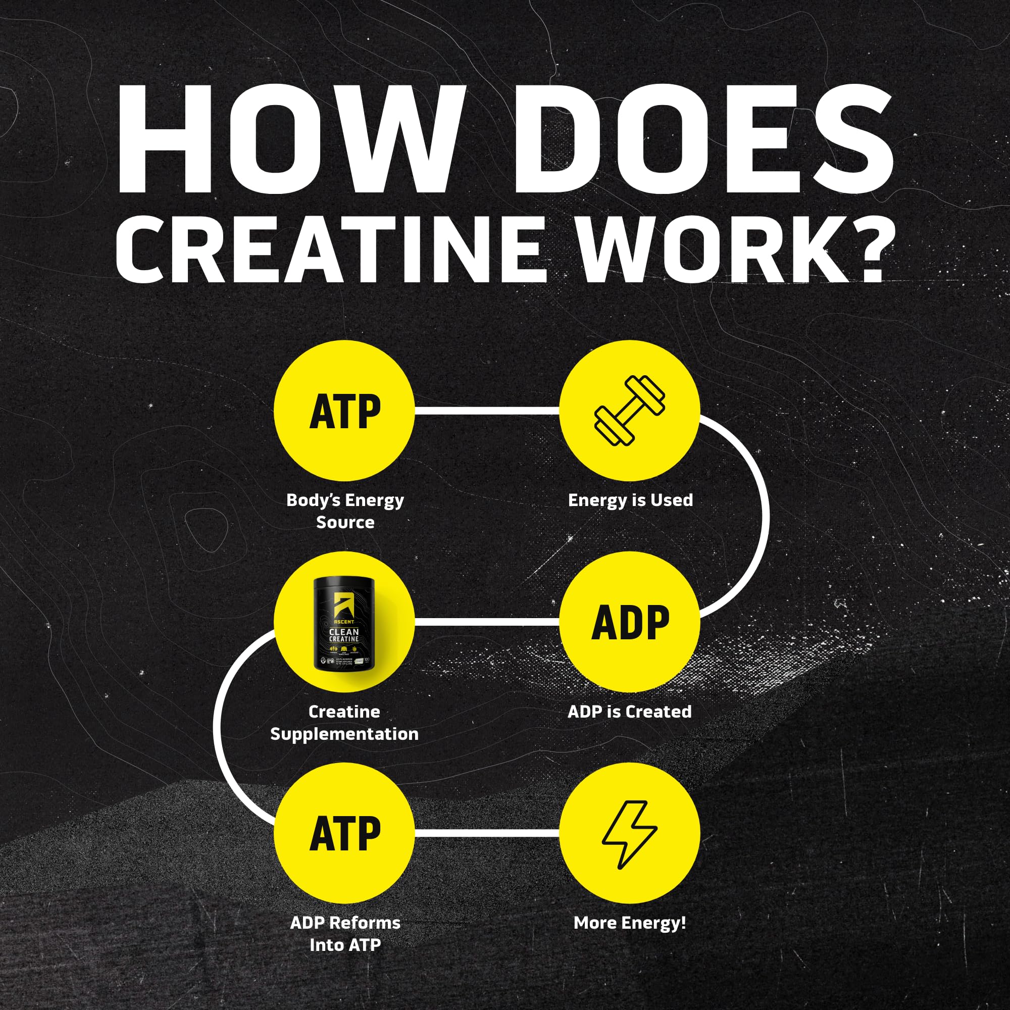Ascent Clean Creatine Monohydrate Powder - 5G Per Serving, Creapure Creatine Supplement - Unflavored, 100 Servings Ascent uk supplements