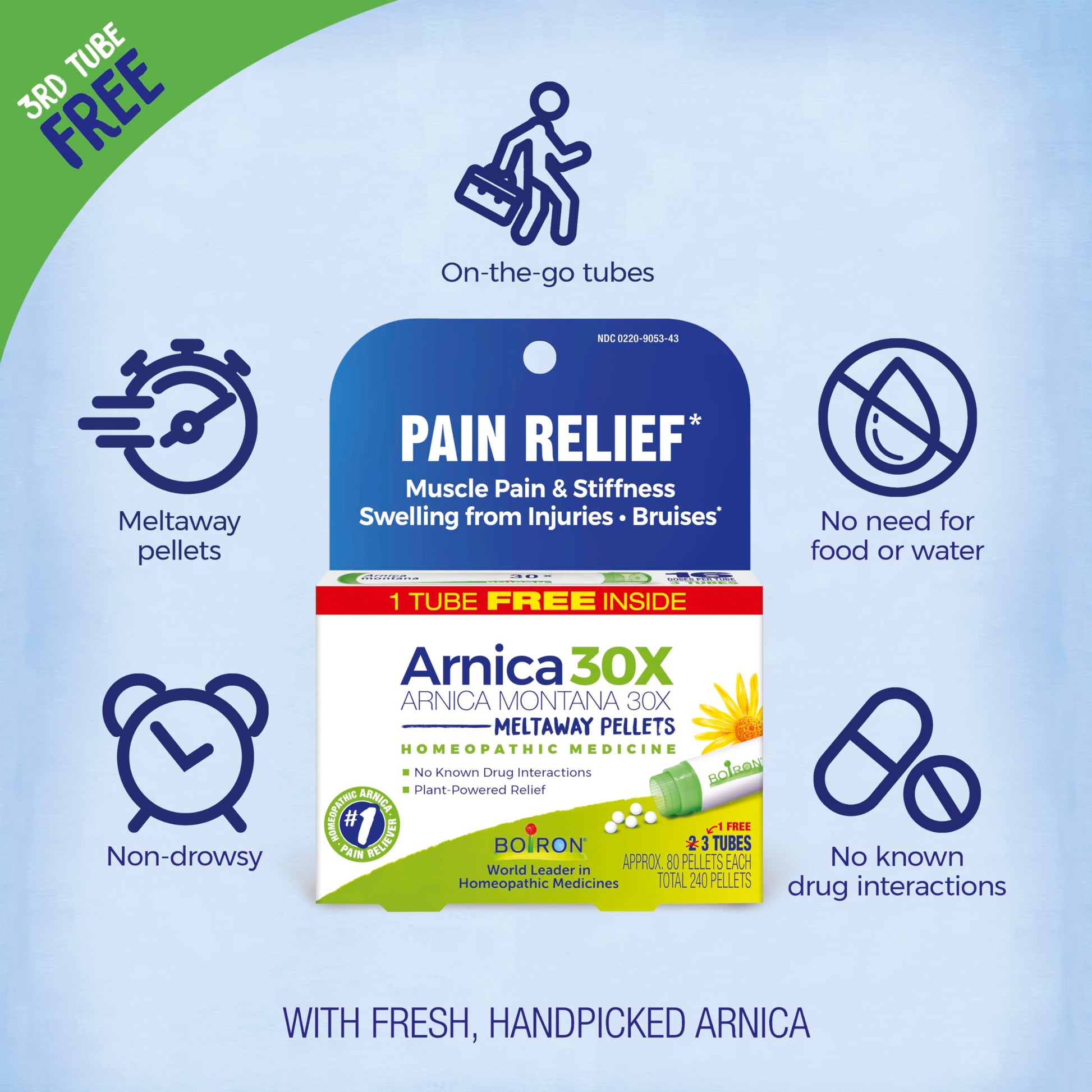 Boiron Arnica Montana 30X Homeopathic Medicine for Relief from Muscle Pain, Muscle Stiffness, Swelling from Injury, and Discoloration from Bruises - 3 Count (240 Pellets) Boiron uk supplements
