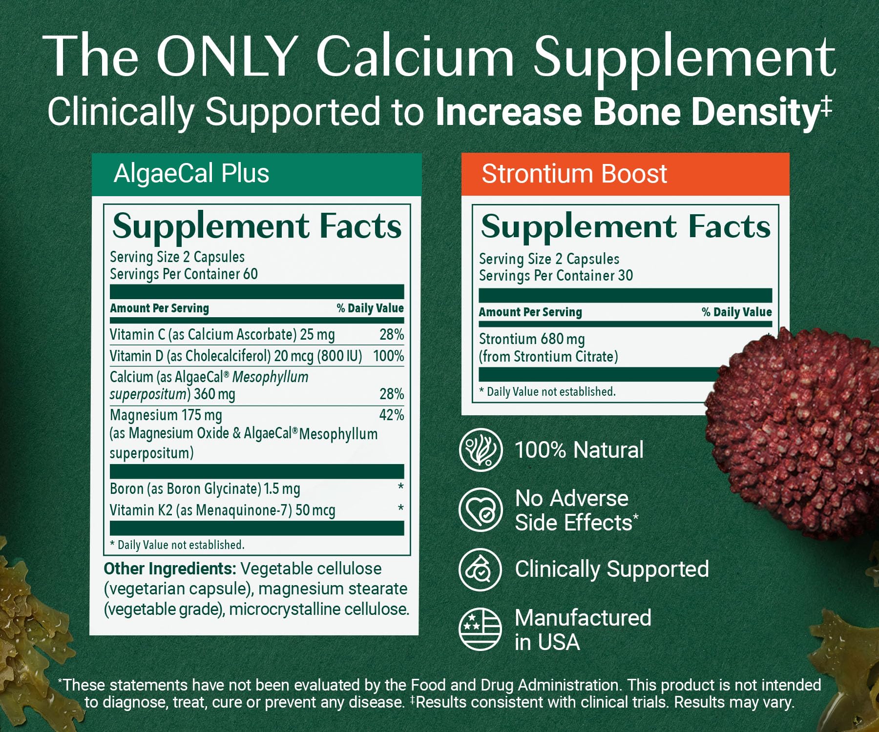 AlgaeCal - Bone Builder Pack for Bone Density Increase, Clinically Supported Plant Based Calcium Supplement & Strontium, Vitamins K2 (100mg), D3 (1600 IU), Magnesium & 16 Essential nutrients ALGAECAL uk supplements