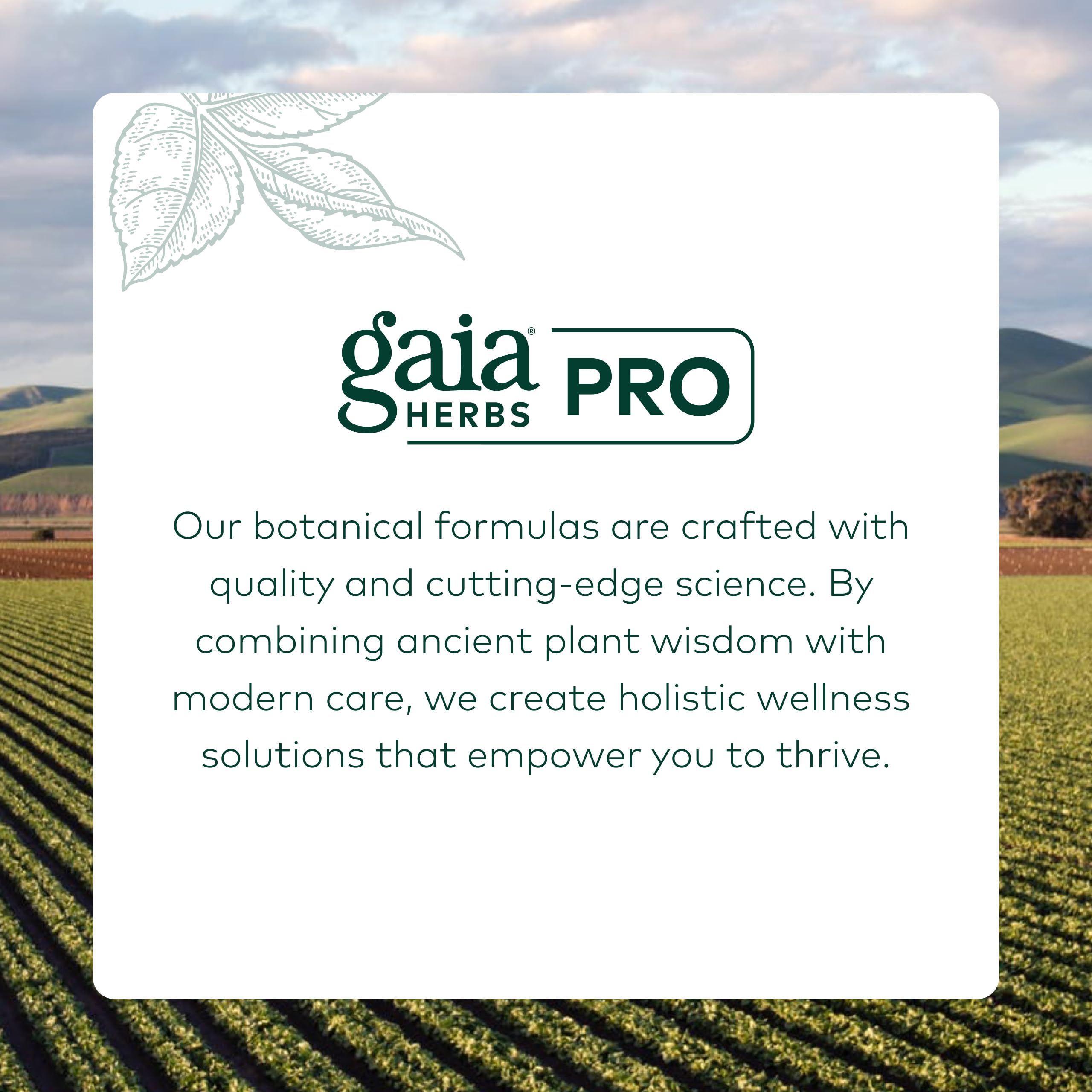 GAIA HERBS PRO Nootropic Focus - Brain Health Support Supplement* - Nootropic Supplement with Saffron, Ginkgo Leaf Extract & Lemon Balm - Vegan, Gluten-Free - 40 Liquid Phyto-Caps (20 Servings) Gaia Herbs PRO uk supplements