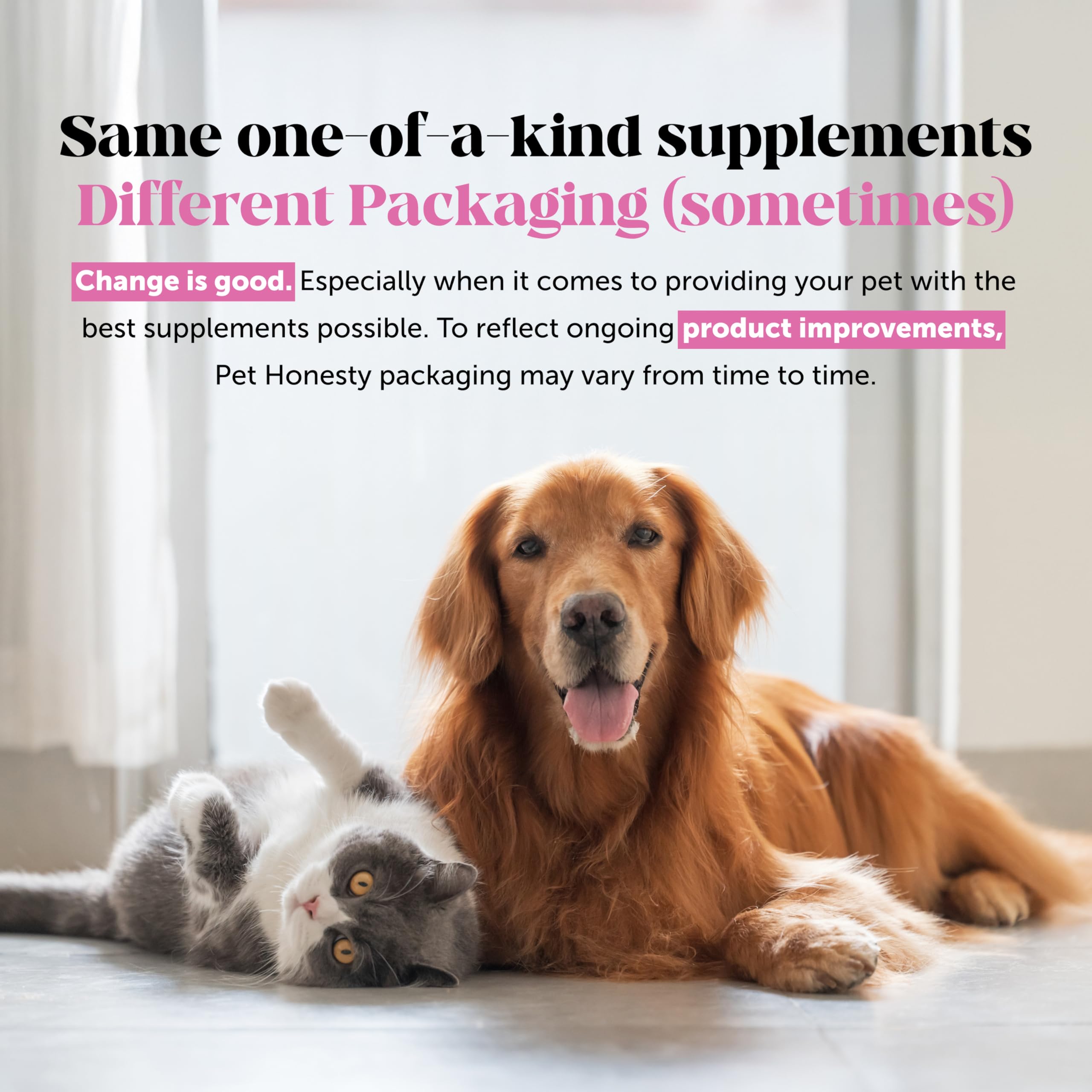 Hemp Hip & Joint Supplement for Dogs - Hemp Oil & Powder - Glucosamine Chondroitin for Dogs, Turmeric, MSM, Green-Lipped Mussel, Supports Mobility, May Reduce Discomfort (Bacon) Pet Honesty uk supplements