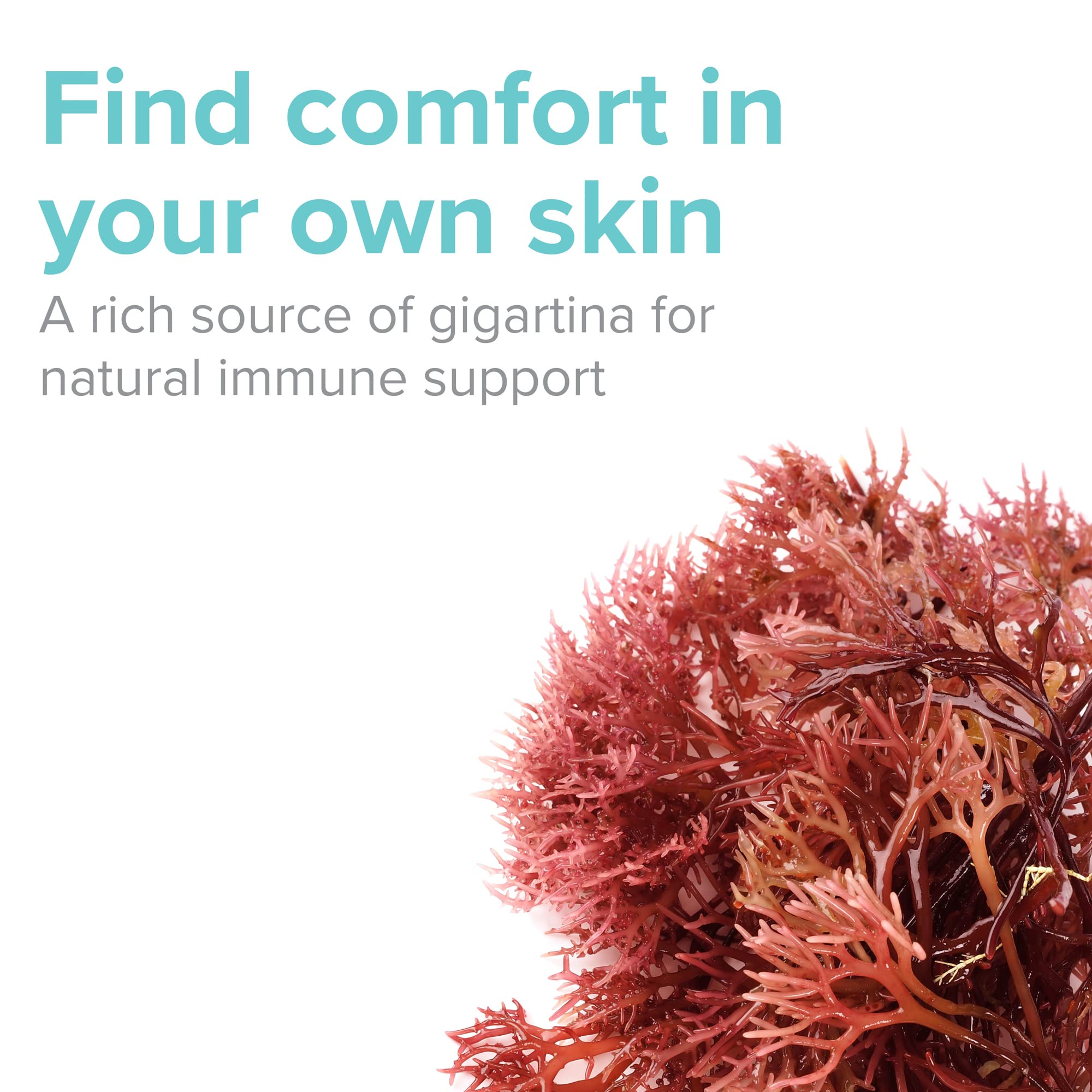 Vibrant Health, Gigartina Red Marine Algae, Plant-Based Immune Support, 60 Capsules Vibrant Health uk supplements