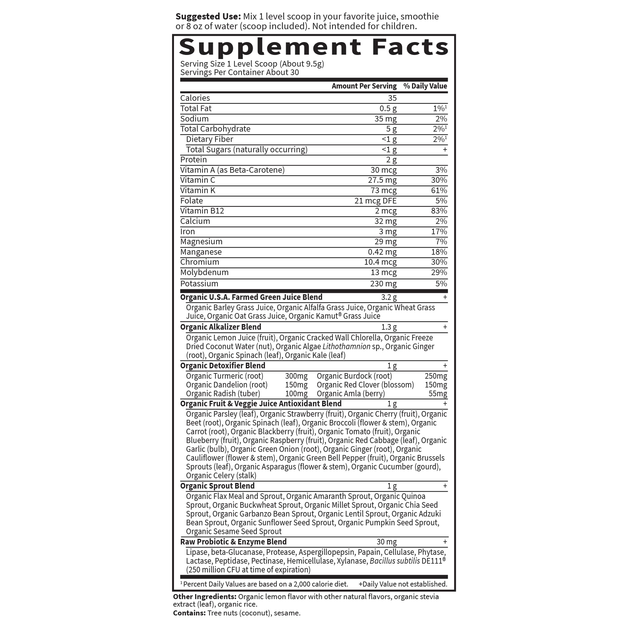 Garden of Life Raw Organic Perfect Food Alkalizer and Detoxifier, Lemon Ginger Flavored Superfood Powder Supplement, 30 Servings Garden of Life uk supplements