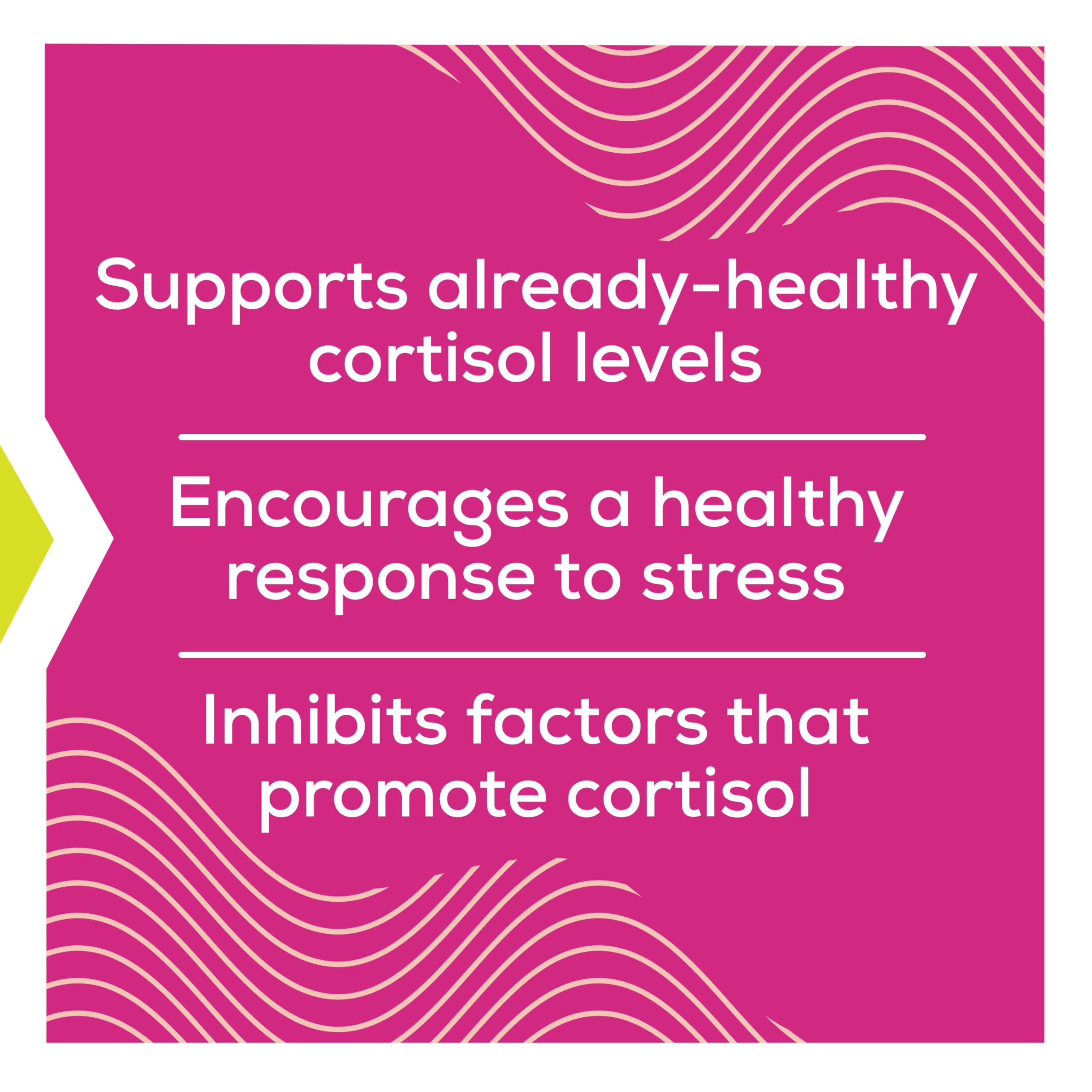 Cortisol Supplements for Women with Ashwagandha, Rhodiola & L-Theanine | Cortisol Reducer Designed for High Stress, Fatigue & Mood Swings | Supports Hormone Balance & Steady Energy | 60 Capsules Terramed Just Think Comfort uk supplements