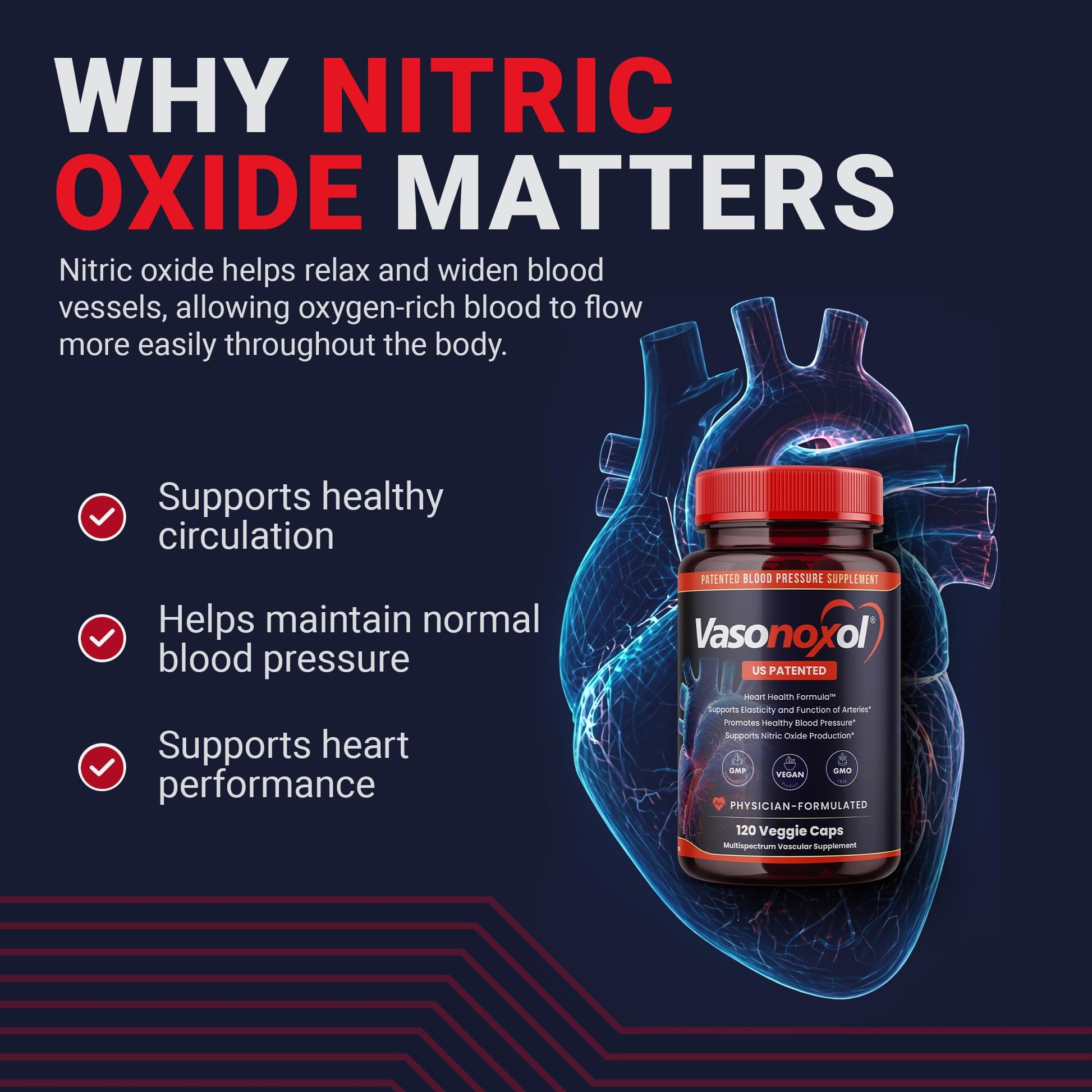 Vasonoxol U.S. Patented Nitric Oxide Supplement for Blood Pressure Support 2880mg - Physician Formulated Vascular Health Formula with L-Arginine & L-Citrulline - Vegan, Non-GMO (120 Capsules) Panoxol uk supplements