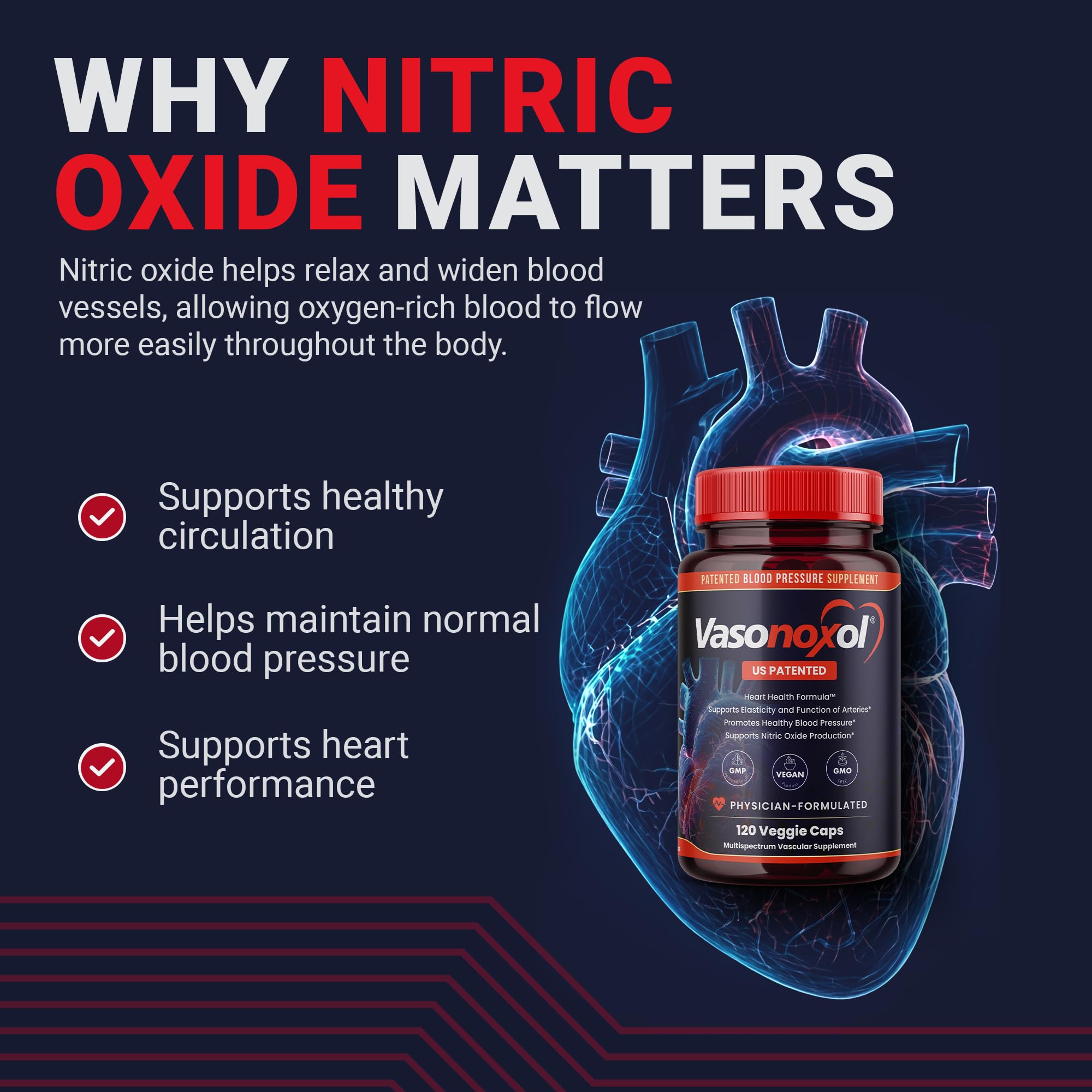 Vasonoxol U.S. Patented Nitric Oxide Supplement for Blood Pressure Support 2880mg - Physician Formulated Vascular Health Formula with L-Arginine & L-Citrulline - Vegan, Non-GMO (120 Capsules) Panoxol uk supplements