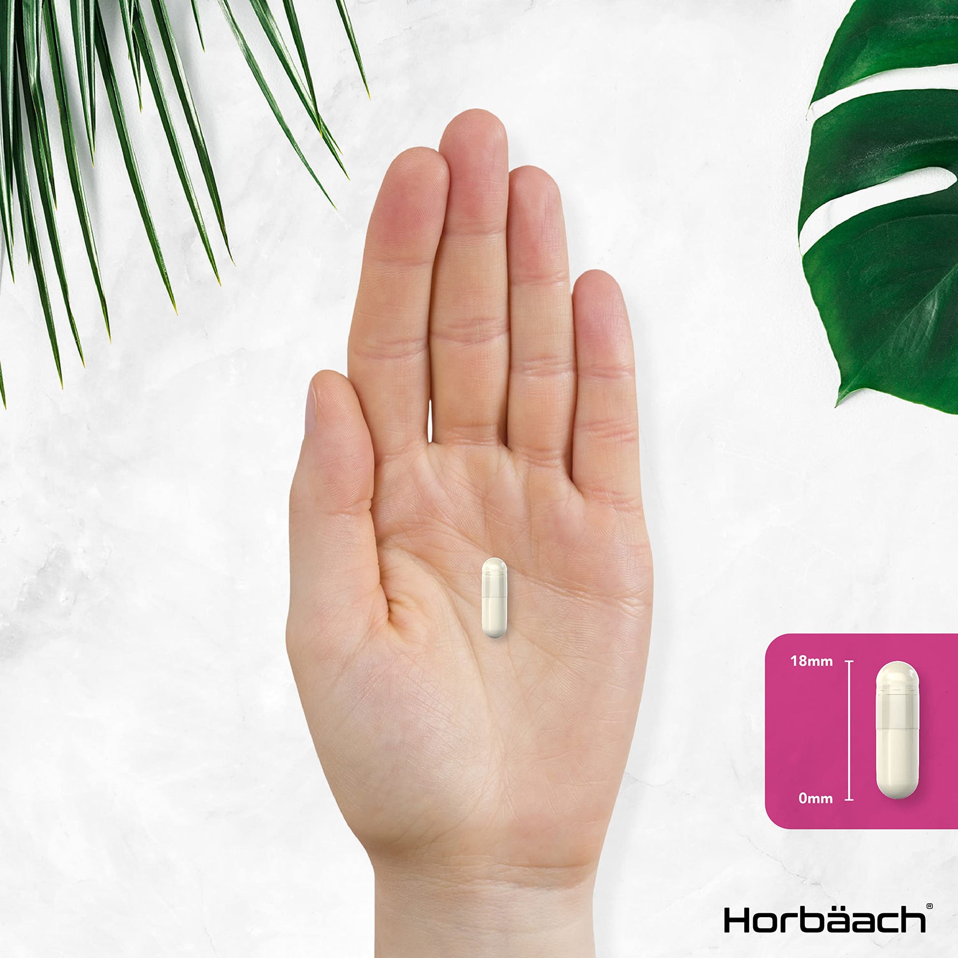 Inositol Supplement for PCOS | 120 Vegan Capsules | Myo-Inositol Complex with Folic Acid Horbäach uk supplements