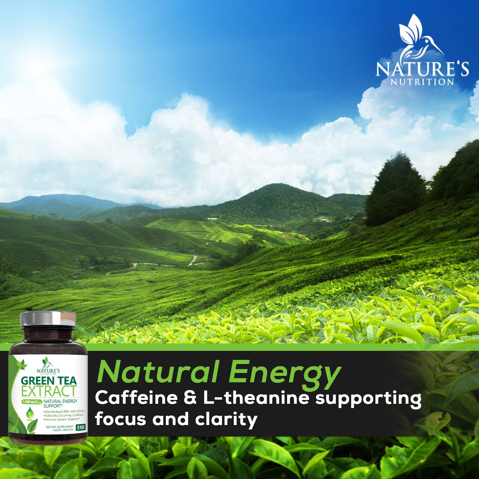 Green Tea Extract Capsules 1000mg 98% Standardized EGCG - 3X Strength for Natural Nature's Nutrition uk supplements