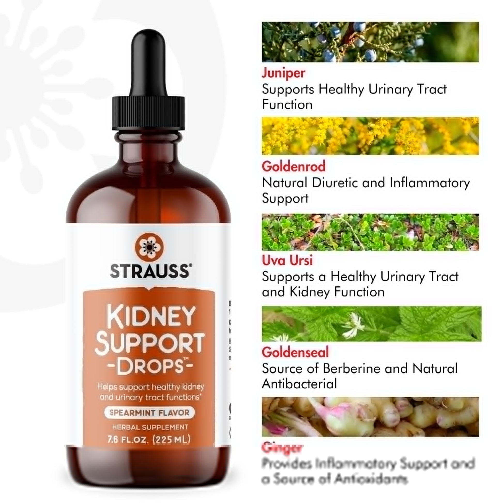 Strauss Naturals Kidney Support Drops – Herbal Kidney Support Supplement for Men and Women – Helps with Kidney Health and Urinary Tract Function – Vegan & Non-GMO – Spearmint Flavored – 100 ml Bottle Strauss Heartdrops uk supplements