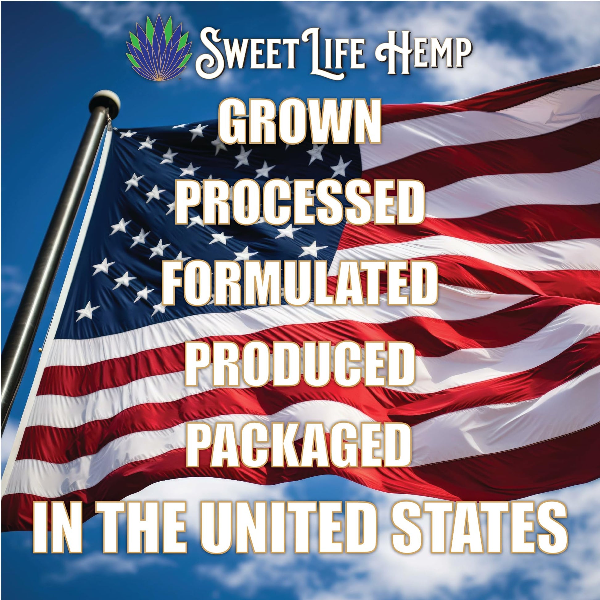 Sweet Life | Hemp Salve Stick | 2000mg | Small Business | Organic | Body Balm | Muscle Comfort Sweet Life uk supplements