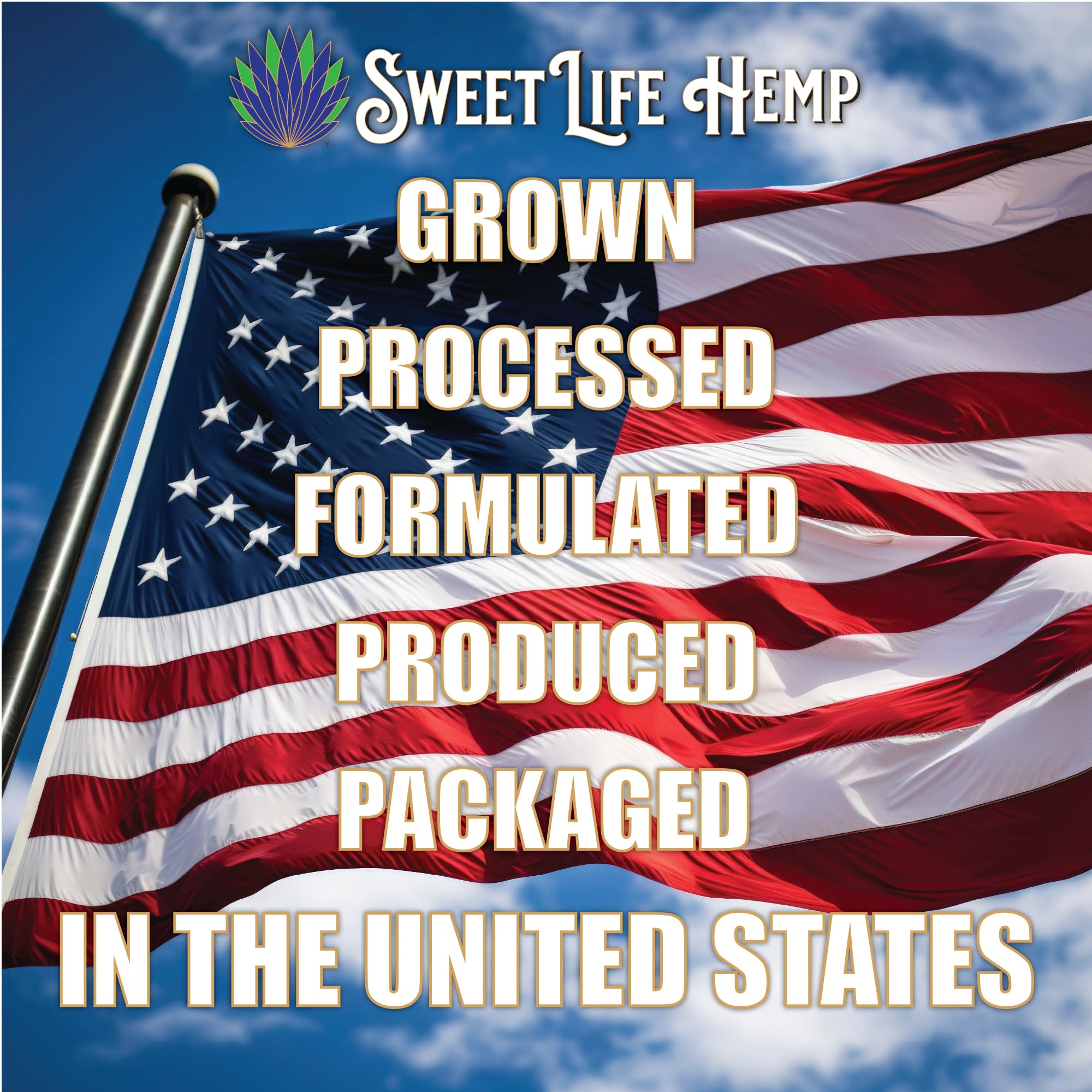 Sweet Life | Hemp Salve Stick | 2000mg | Small Business | Organic | Body Balm | Muscle Comfort Sweet Life uk supplements
