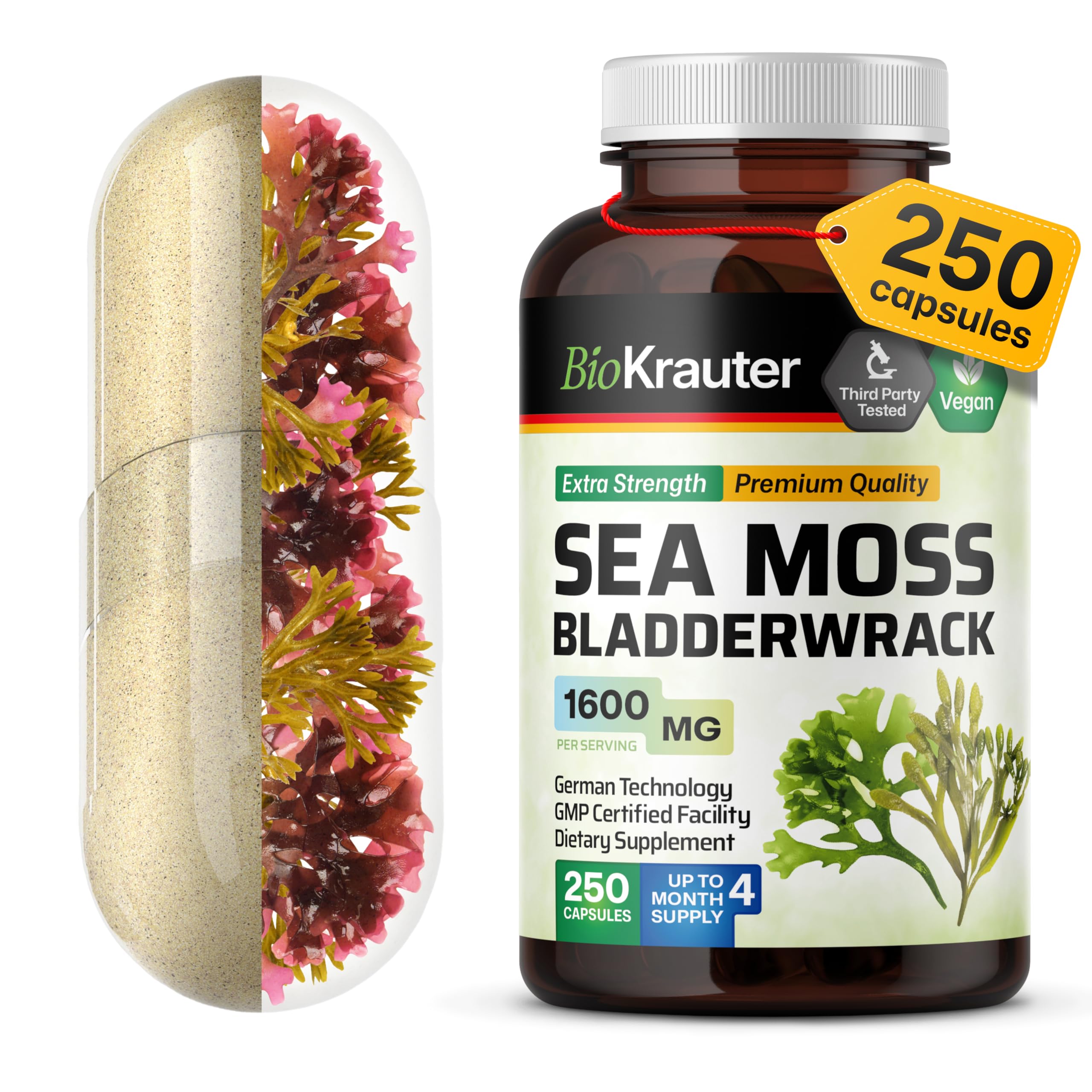 BIO KRAUTER® 2-in-1 Sea Moss for Thyroid Support - Vegan Bladderwrack & Sea Moss Capsules for Women & Men - Natural Сhondrus Сrispus Seaweed Supplement 1600 mg - 125 Days of Supply, Non-GMO BIO KRAUTER uk supplements