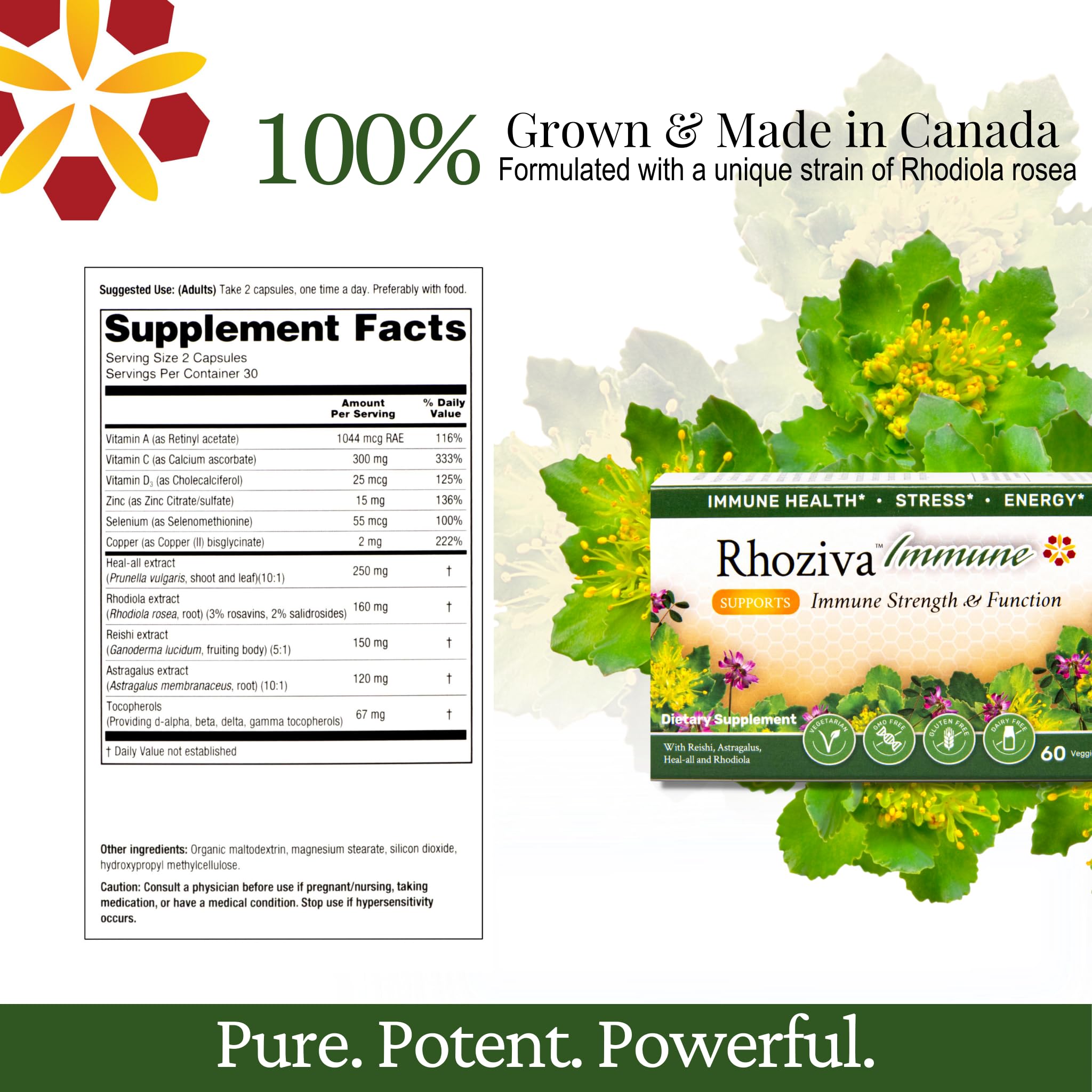 Immune Support, Energy Booster with Vitamin C, D3 and Zinc Supplement, Rhodiola Rosea, Reishi Mushroom Extract, Astragalus, Overall Wellness and Daily Habit - 60 Capsules Rhoziva uk supplements