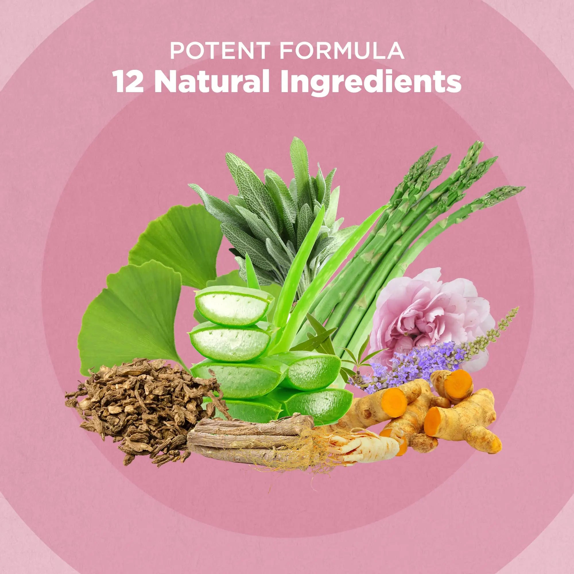 Strength & Spices Hormone Balance 100% Natural Estrogen Supplement – 12 Ingredients w Dong Quai - 60 Vegan UK Made 1000mg Capsules – Fertility and Menstrual Comfort STRENGTH & SPICES100% Natural Vegan Food Supplements uk supplements
