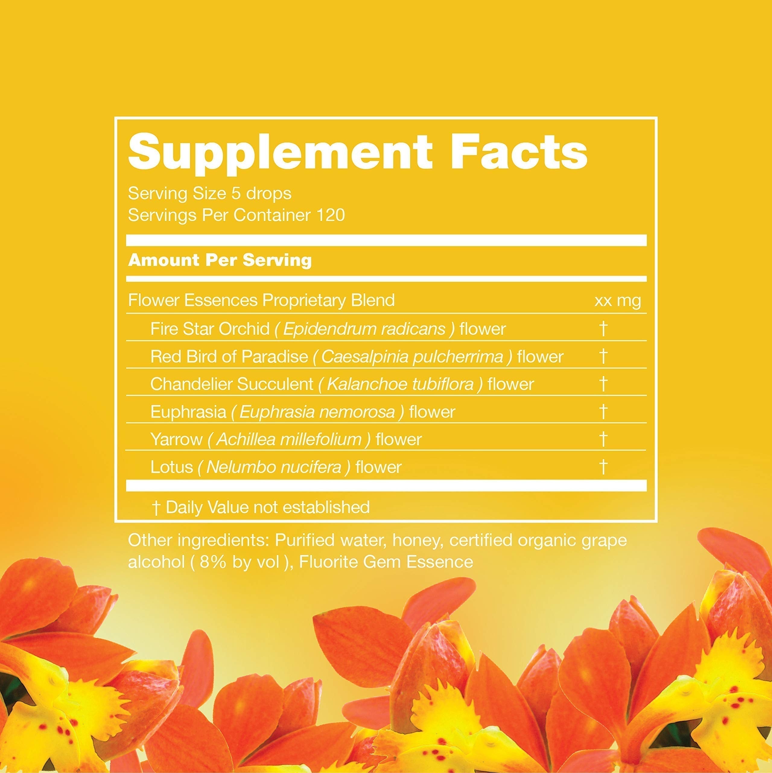 LOTUSWEI Inspired Action Flower Essence Elixir – Enhance Focus, Concentration, Mental Clarity & Creativity – Flower Remedy Supplement LOTUSWEI uk supplements