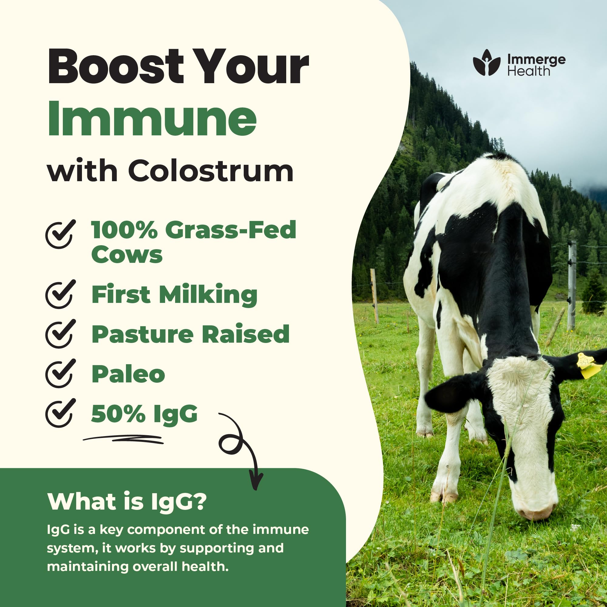 Immerge Health Super Colostrum Powder (60 Servings) – Premium Bovine Colostrum Supplement for Gut Health, Bloating & Immune Support – High IgG, 100% Grass Fed First Milking, Unflavored, Made in USA ImmergeHealth.com uk supplements