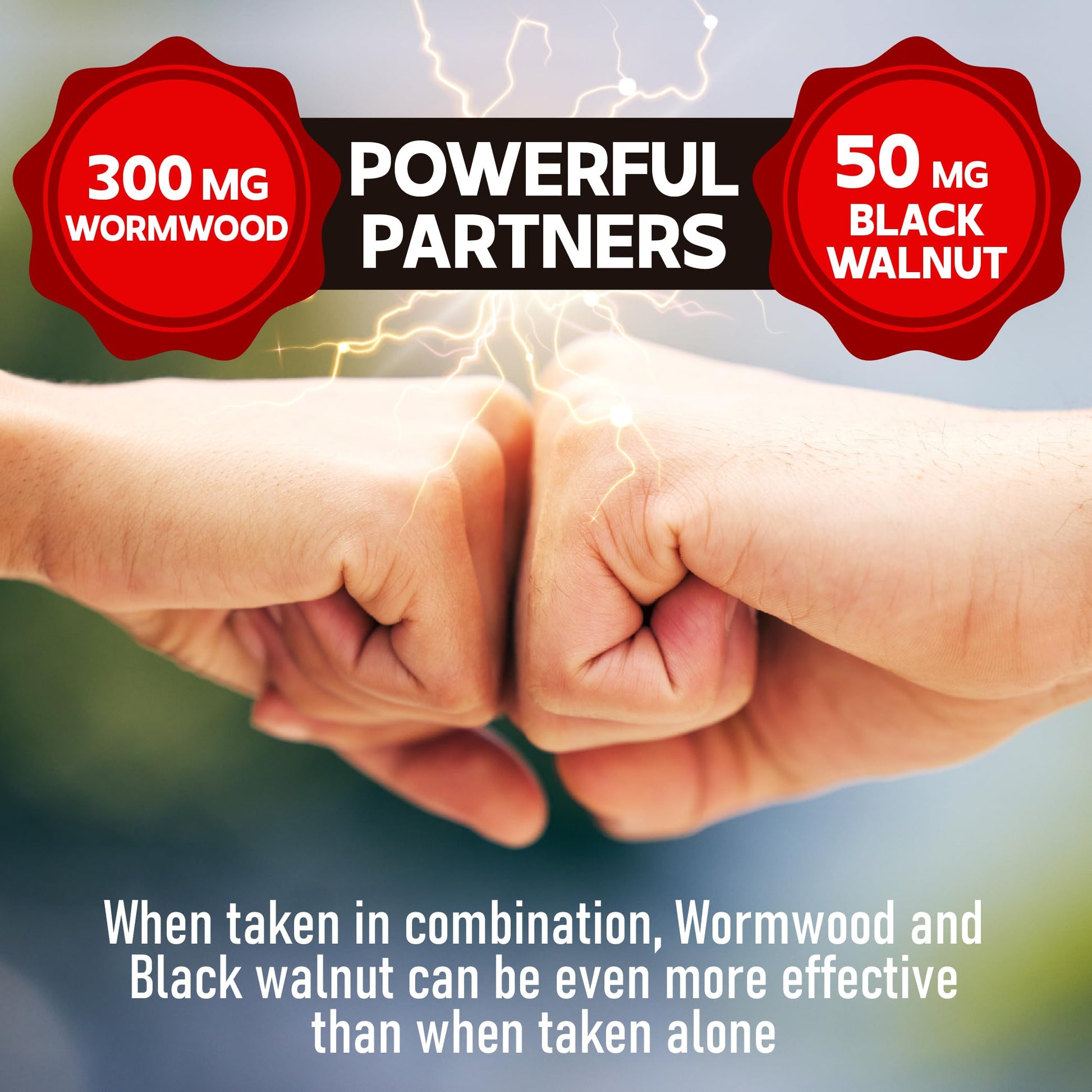 DEDICAD Wormwood Capsules - 12 Herbs Blended Black Walnut, Cloves, Ginger, Turmeric, Cinnamon, Apple, Quassia - 2 Packs 50 Capsules DEDICAD uk supplements