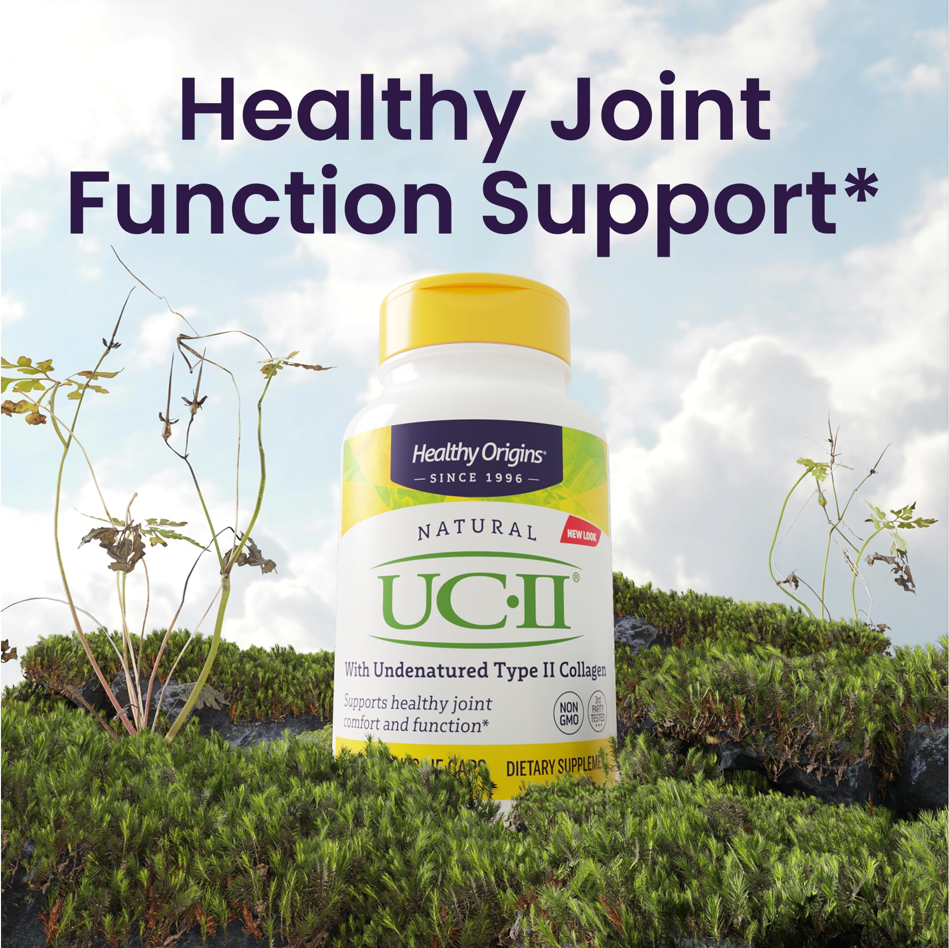 Healthy Origins UC-II 40 mg (Undenatured Type II Collagen, Non-GMO, Gluten Free, Joint Support), 120 Veggie Caps Healthy Origins uk supplements